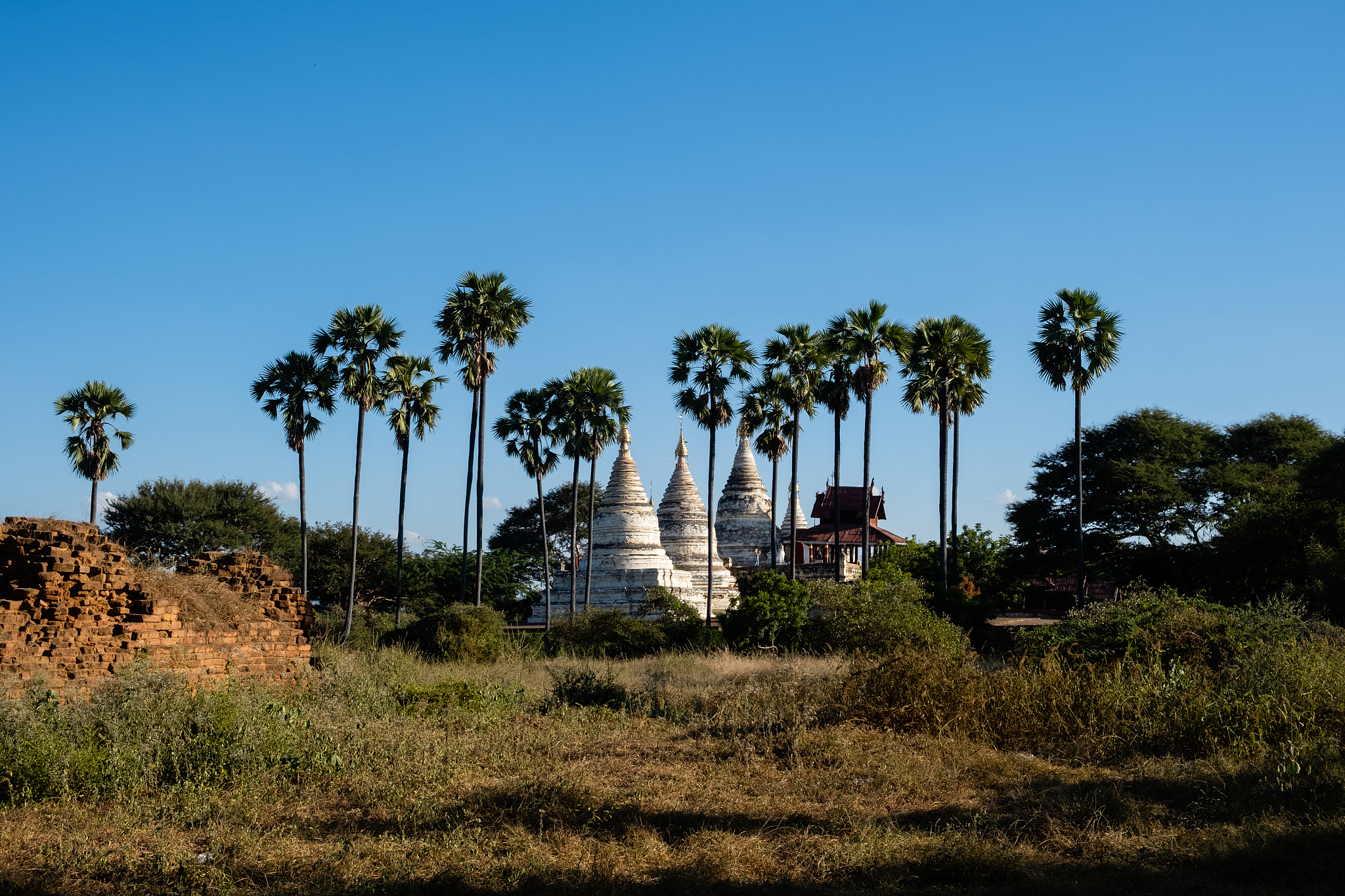 temples of bagan