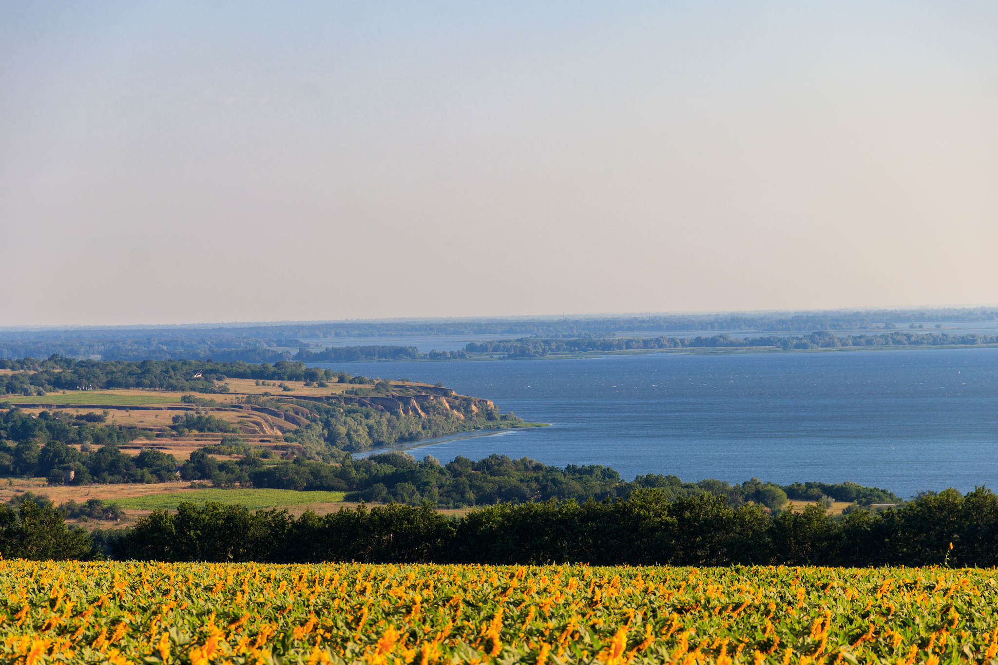 summer landscape with beautiful river, sunflower field and green