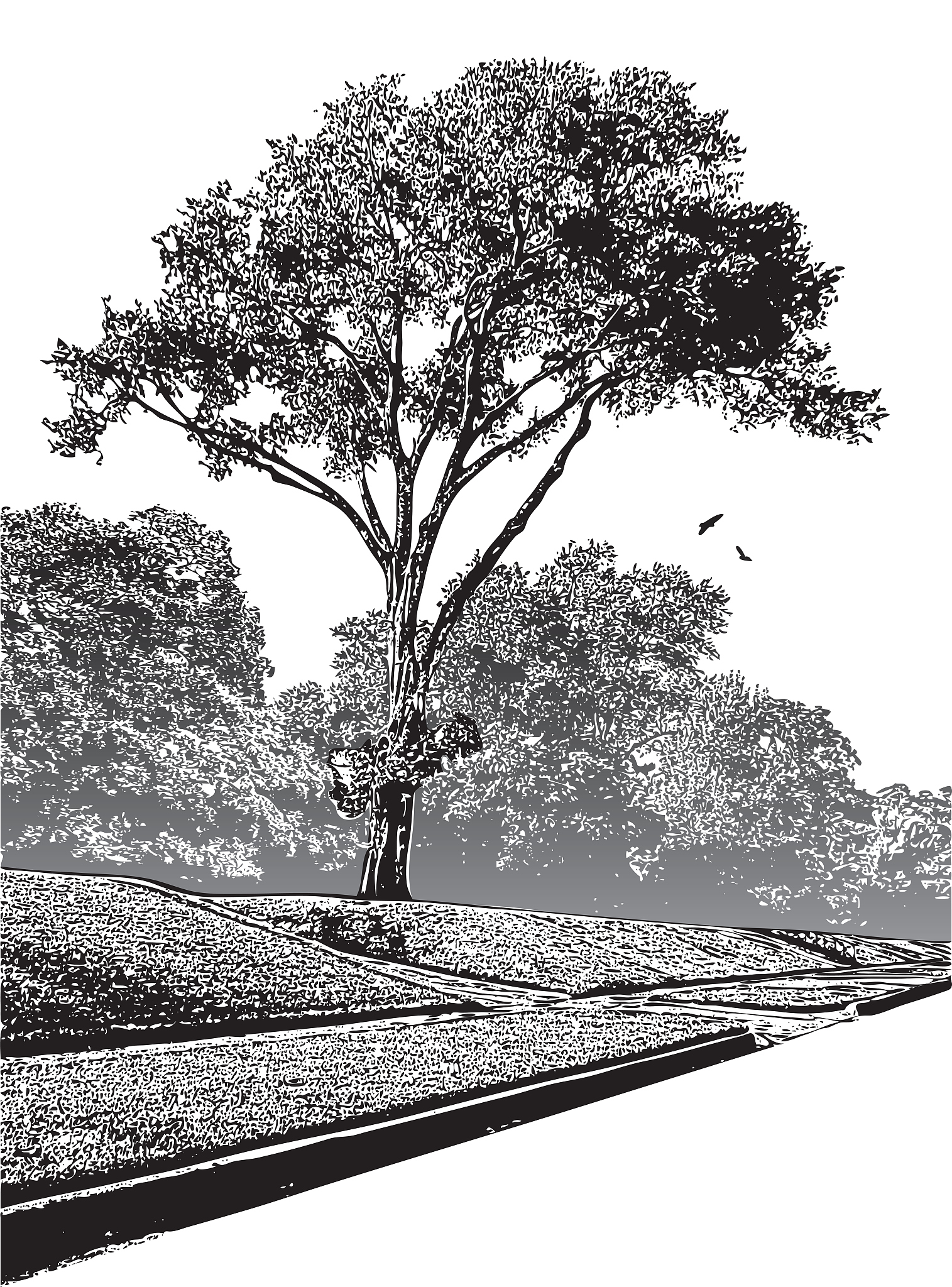 树木学实习报告 - 学习树木知识，提升环保意识