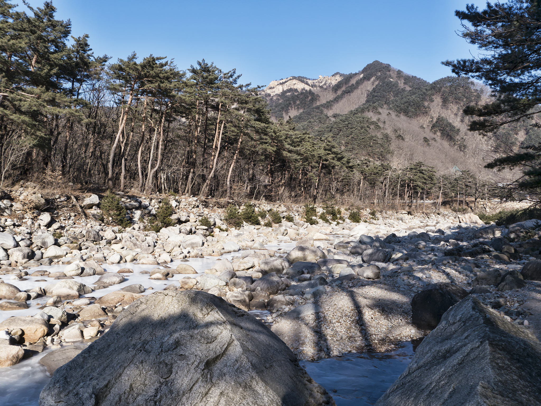 润色以下句子：殿元山顶常年被积雪所覆盖。当雪融化时水流在211号道路西端汇聚成一条小河自北往南流淌着常年的侵蚀河床形成了一个山谷而想要从这里前往殿元山的洞口便只能通过一座横跨山谷的木桥。