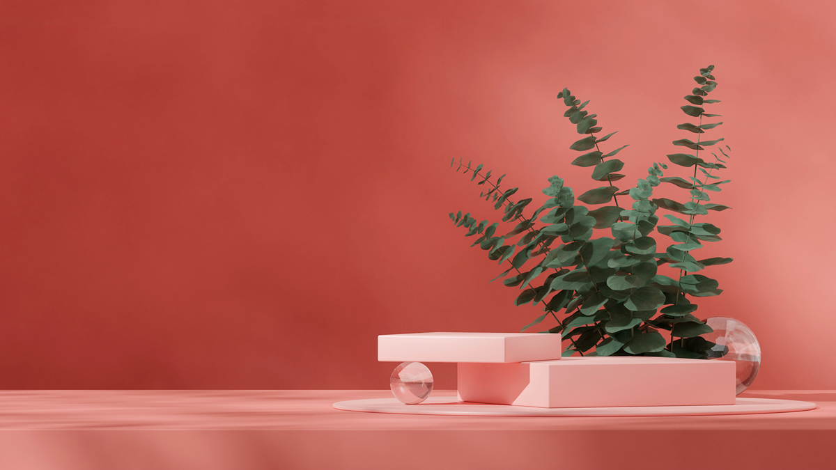 你必须设置一个渲染实例。