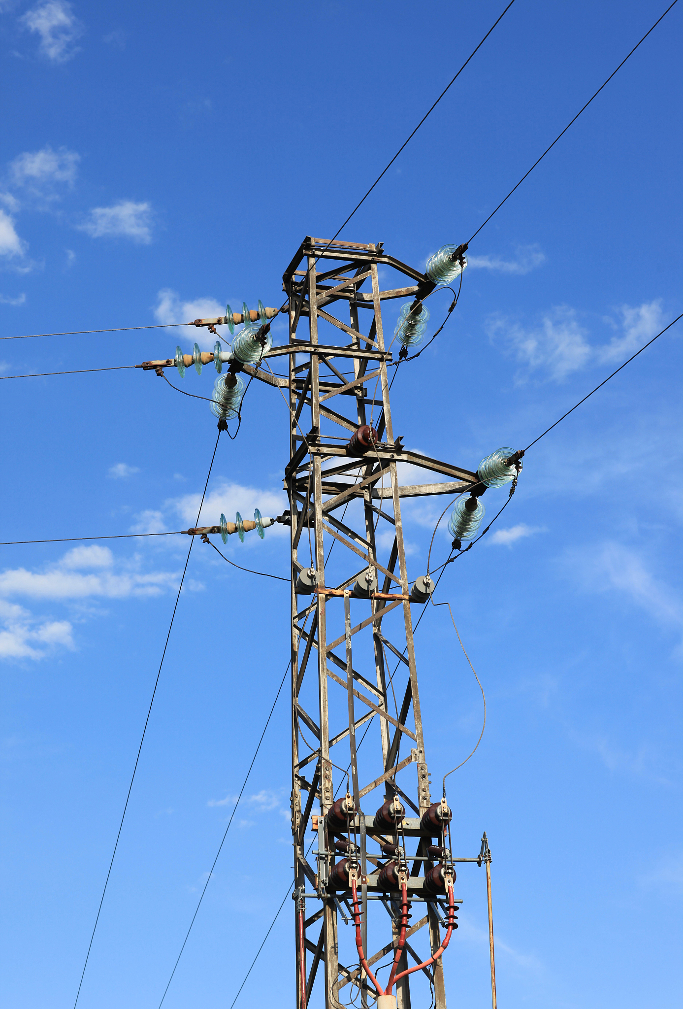 友光电线电缆国际合作与交流：技术提升与市场拓展