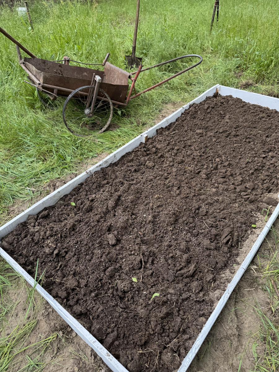 猪屎发酵成有机肥：简单步骤，变废为宝！