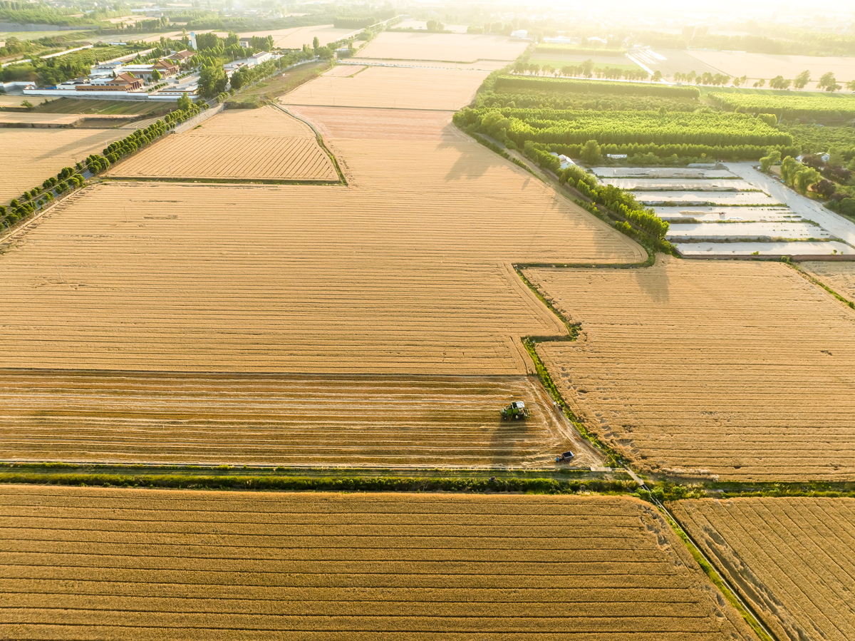 请科学分析常熟市粮食生产状况