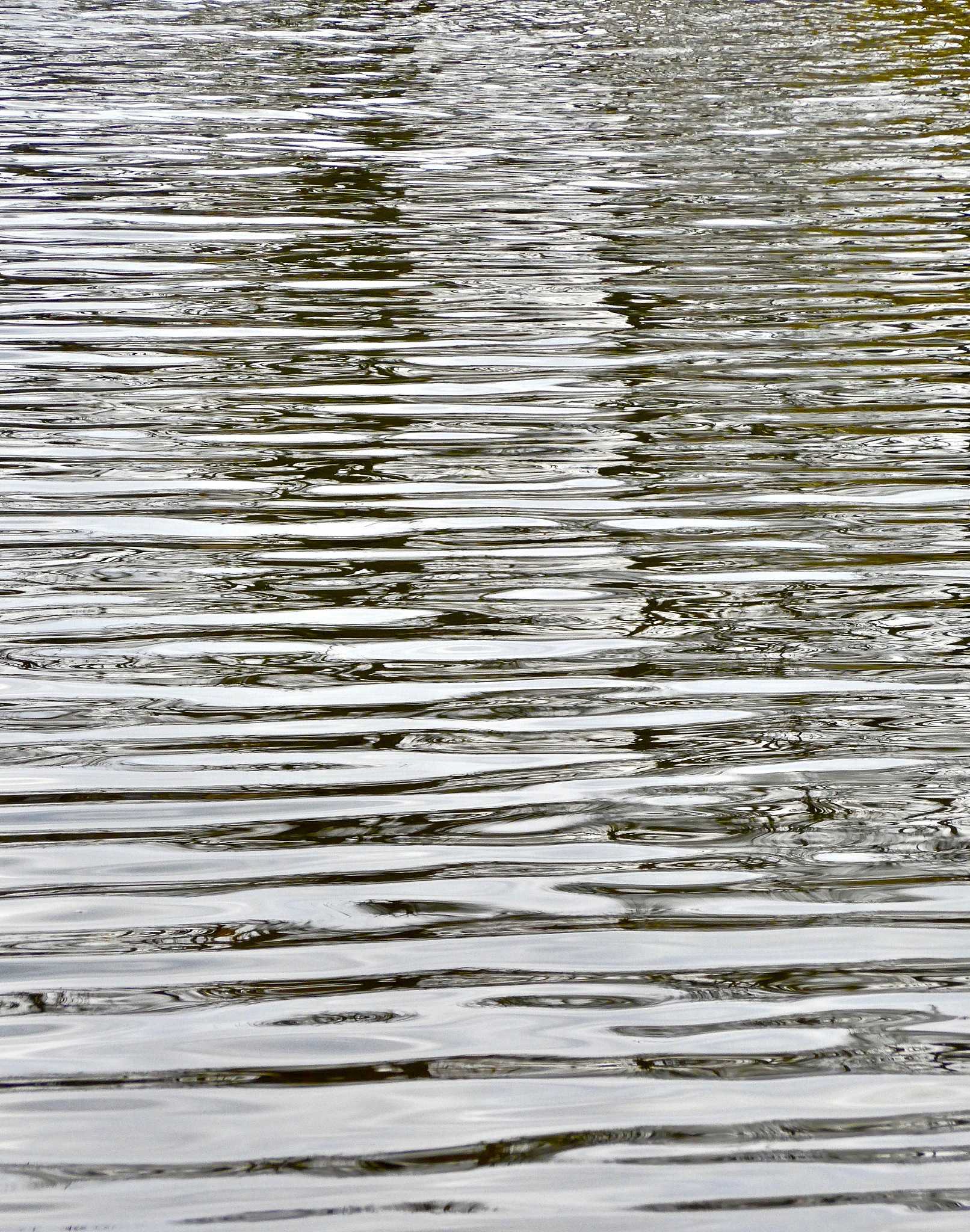 登高望远：获取更广阔视野与深刻见解