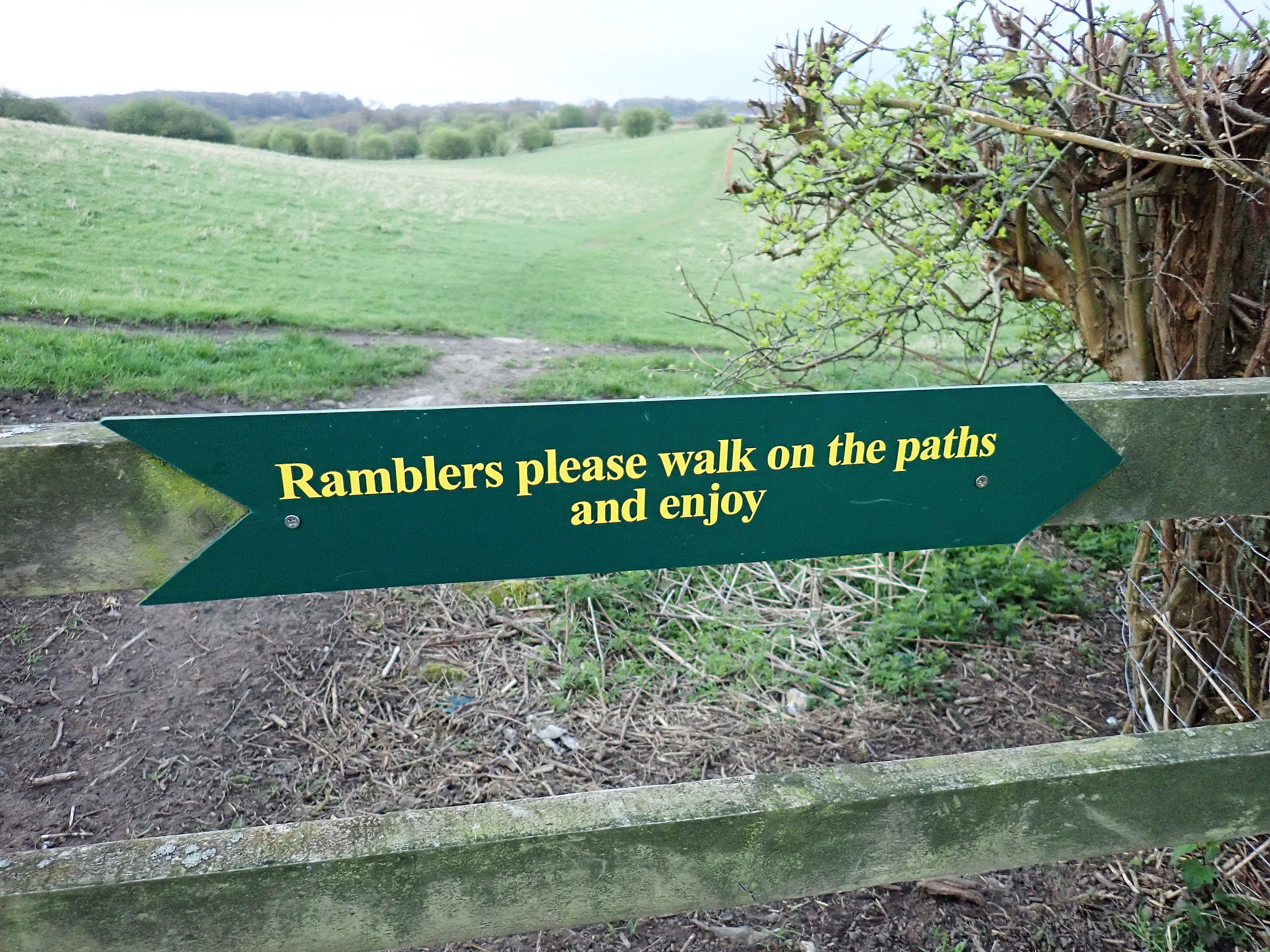 Salmon Farming: Research Papers Exploring Sustainability, Health, and Environmental Impact