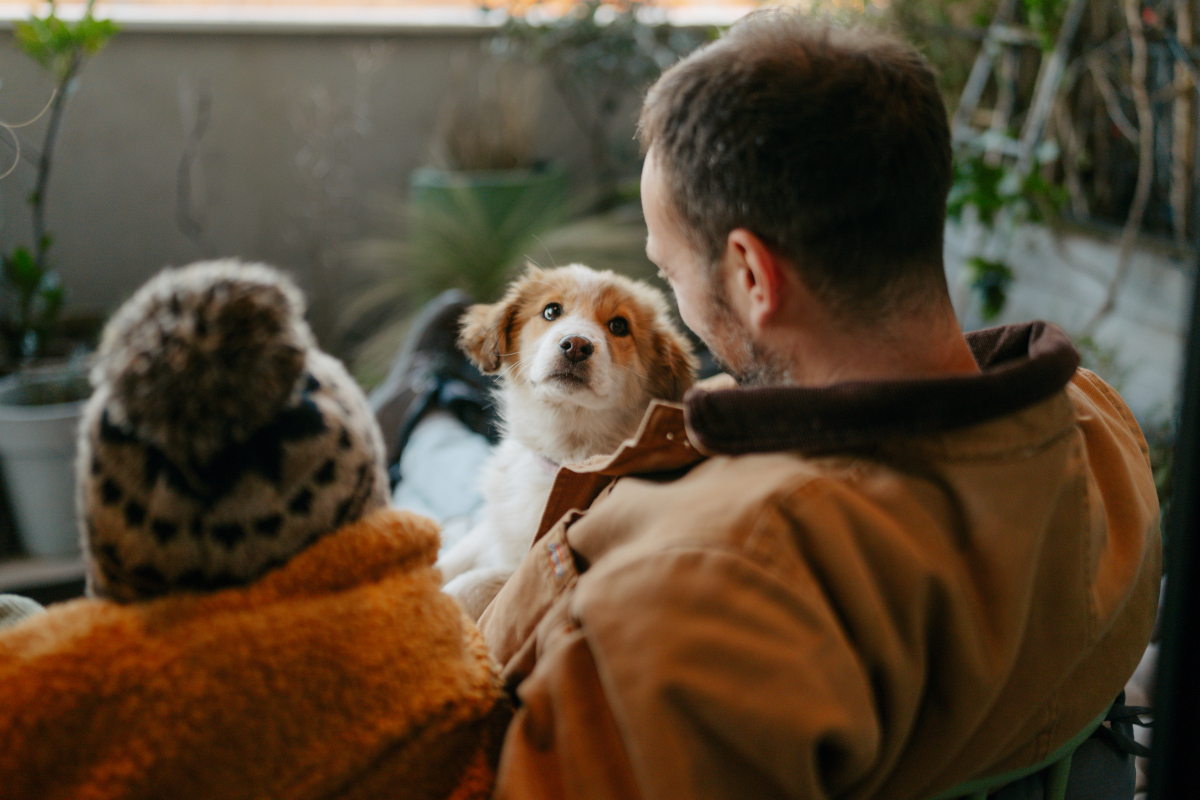以宠物帮助老年人克服孤独和抑郁为题写一篇1100文章
