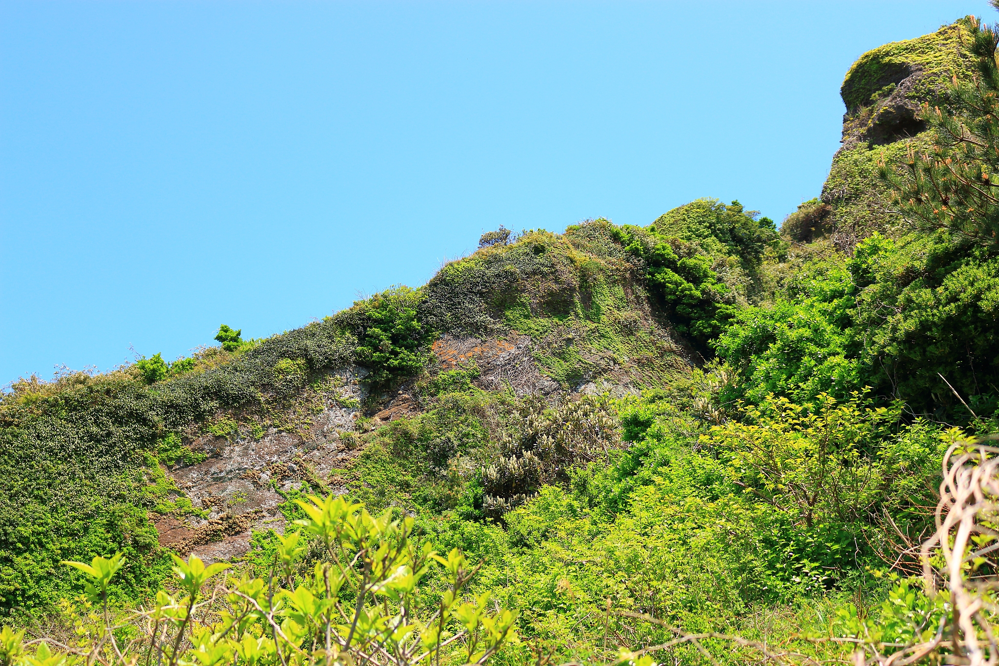 seongsan sunrise peak, unesco world heritage site, sunrise, sunr