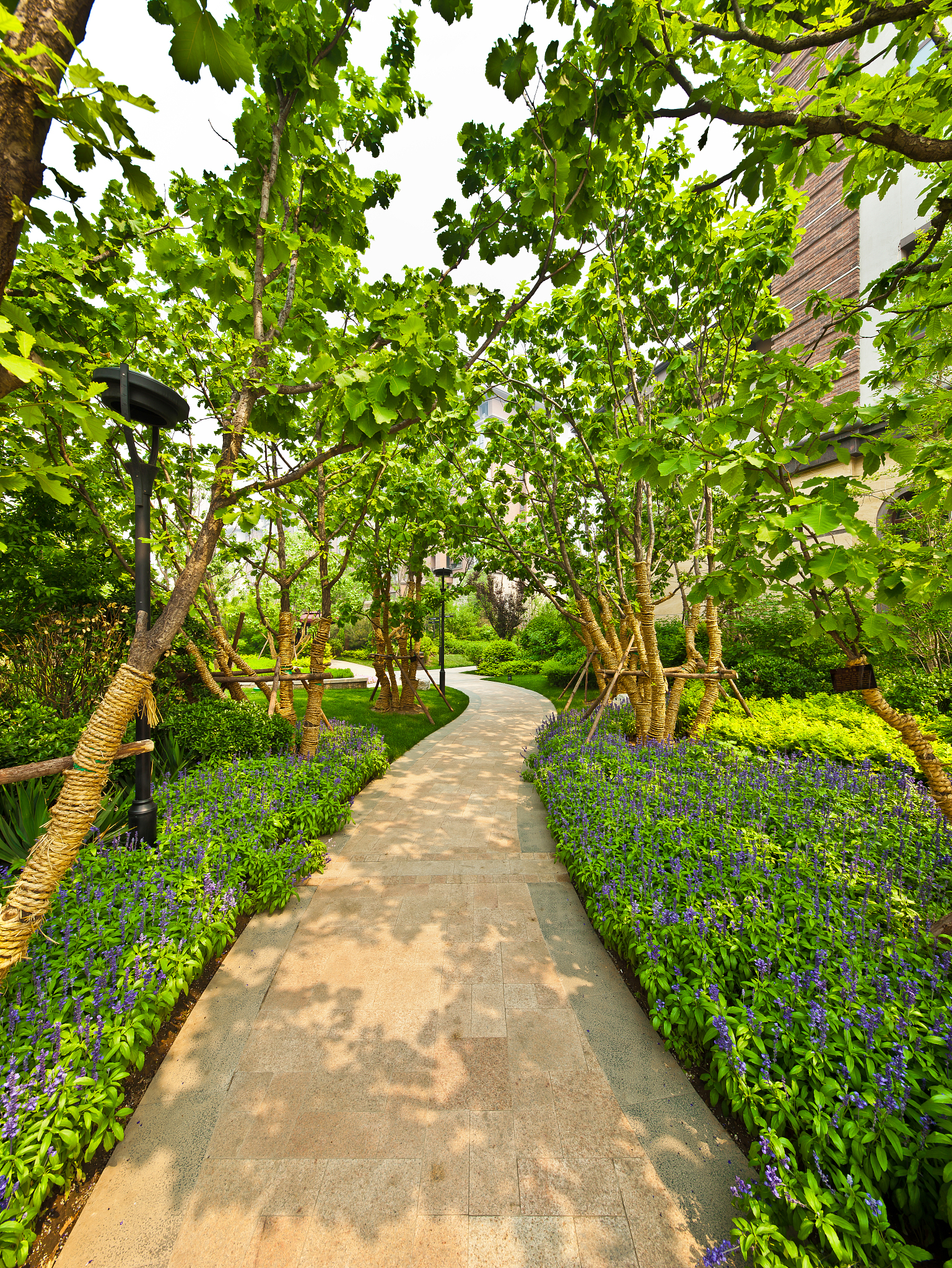 园艺技术专业前景有哪些