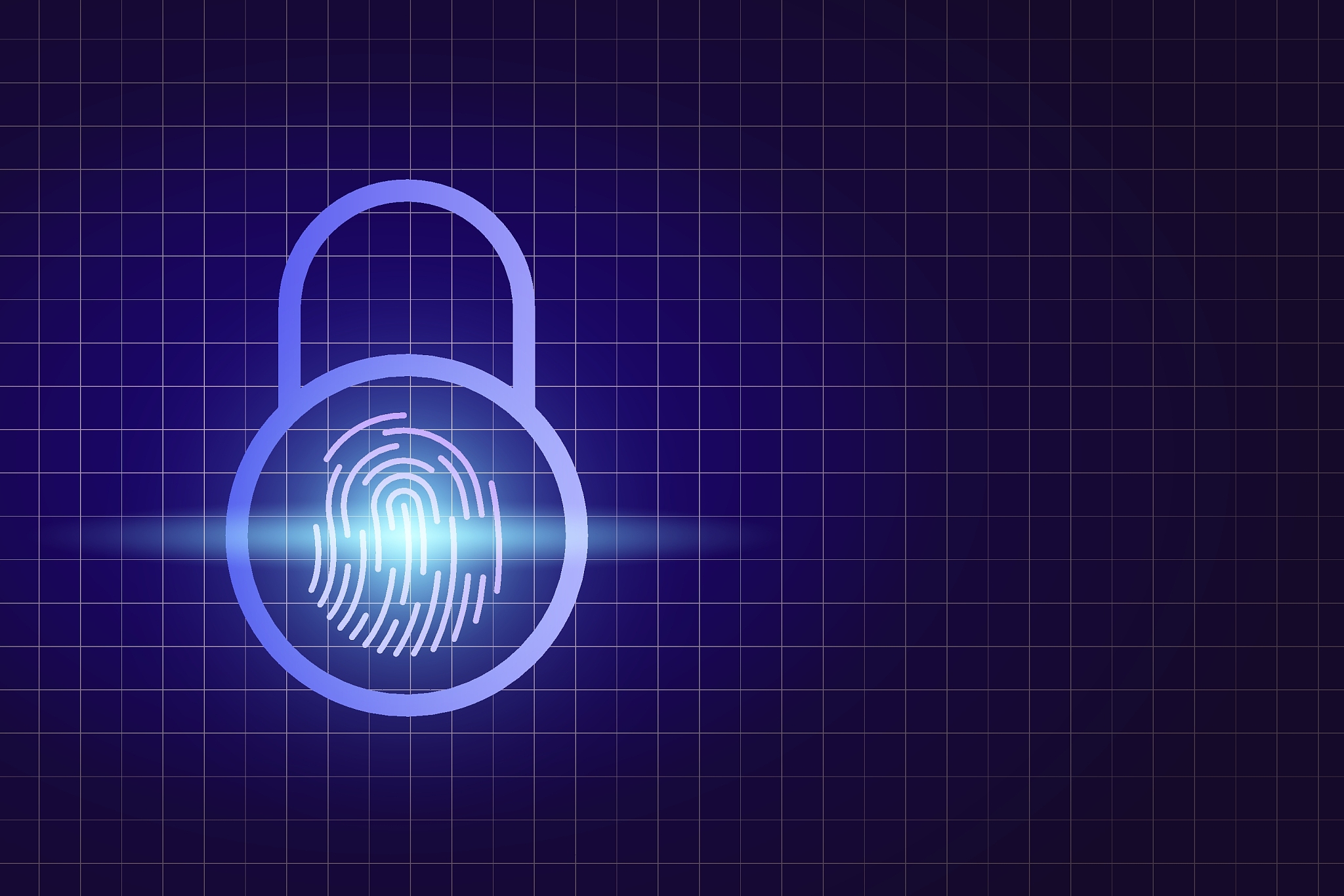 lock_fingerprint-01