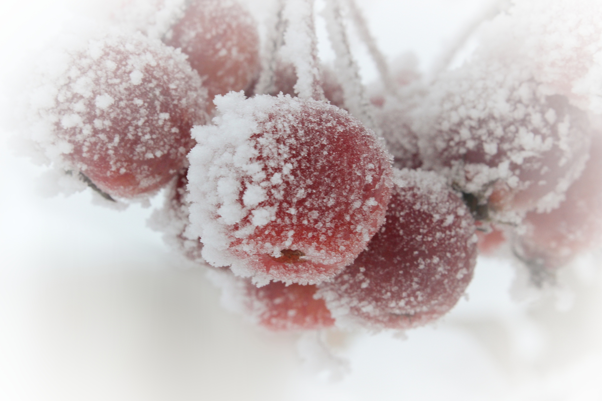 西安海棠职业技术学院有哪些专业及什么专业好