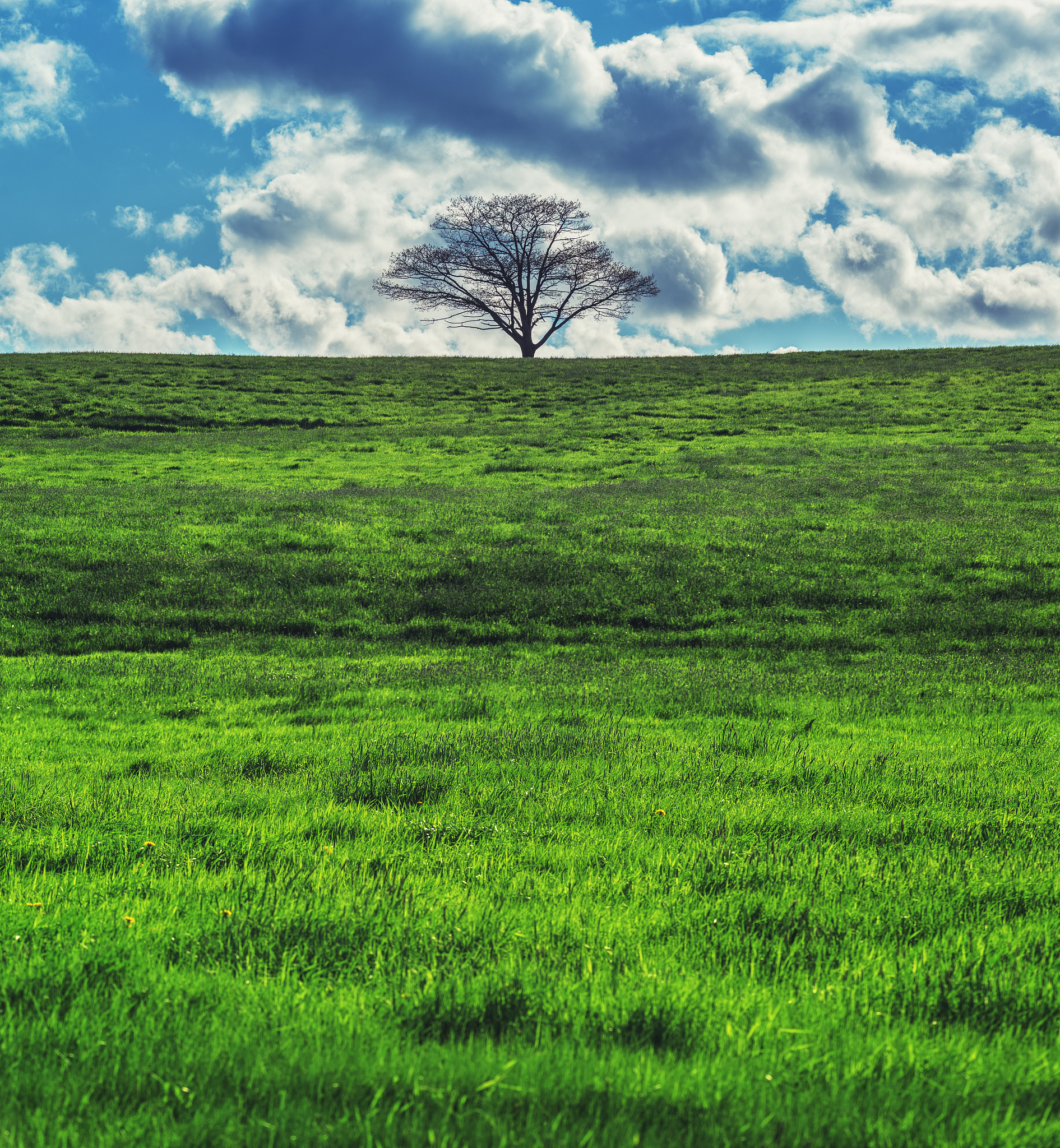 在辽阔的草原上仿写彩色的梦