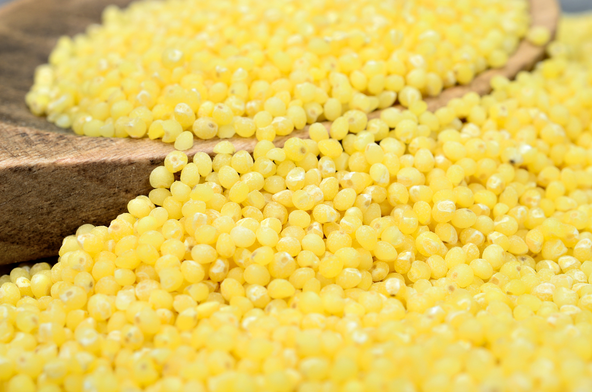 millet seed on table