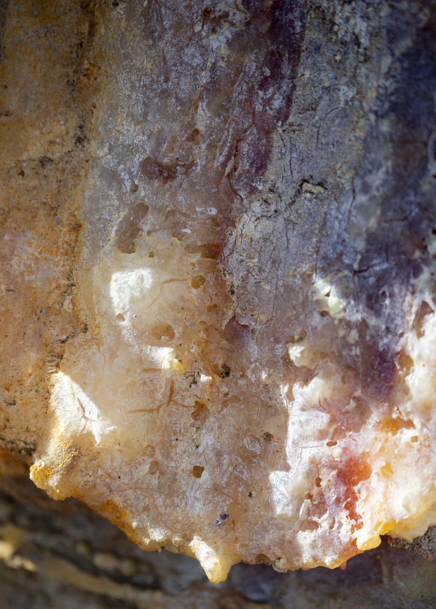 texture of pine resin left over after collecting on wine