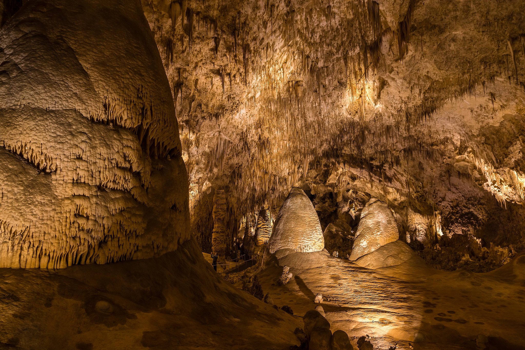 nm-carlsbad caverns national park