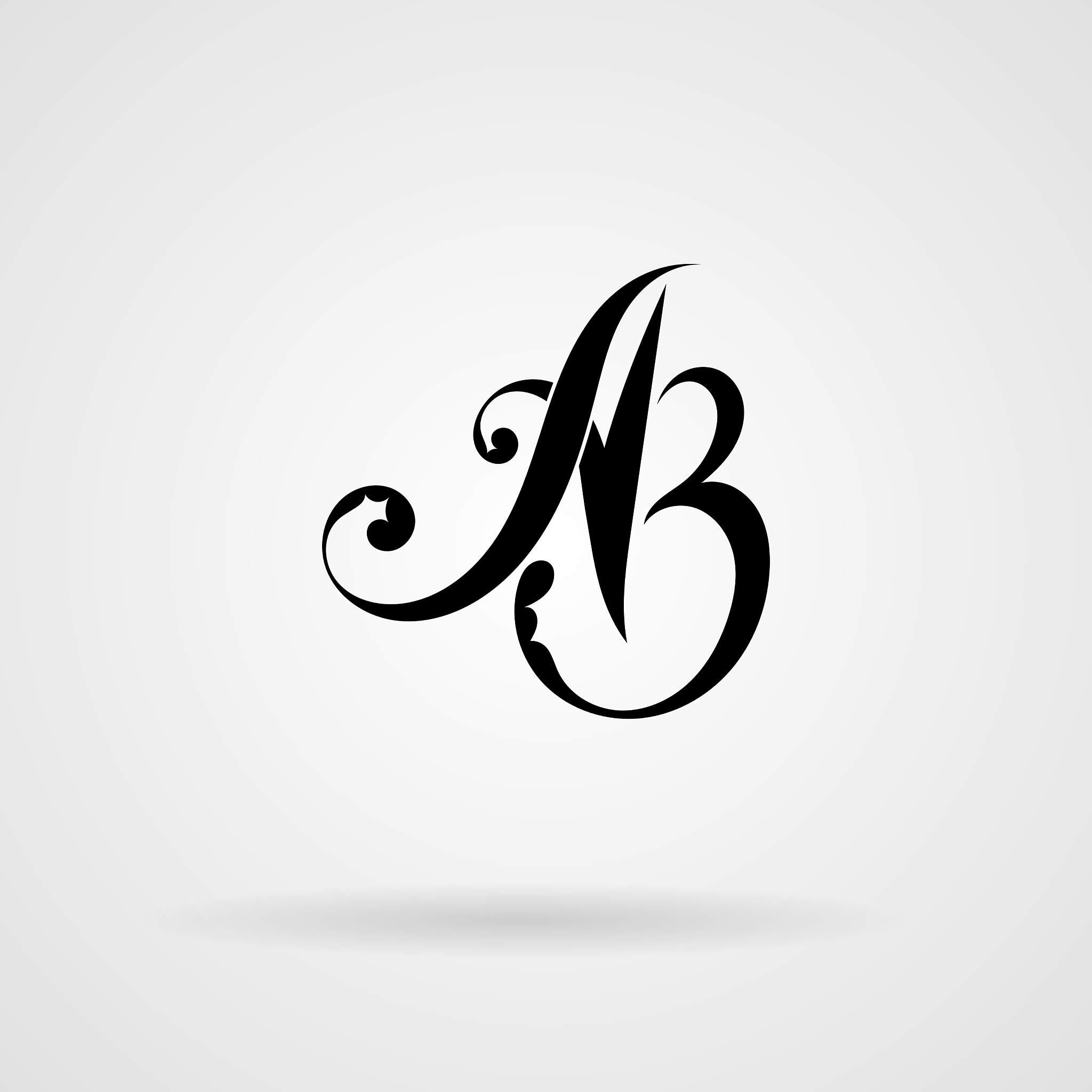 calligraphic monogram letters in the