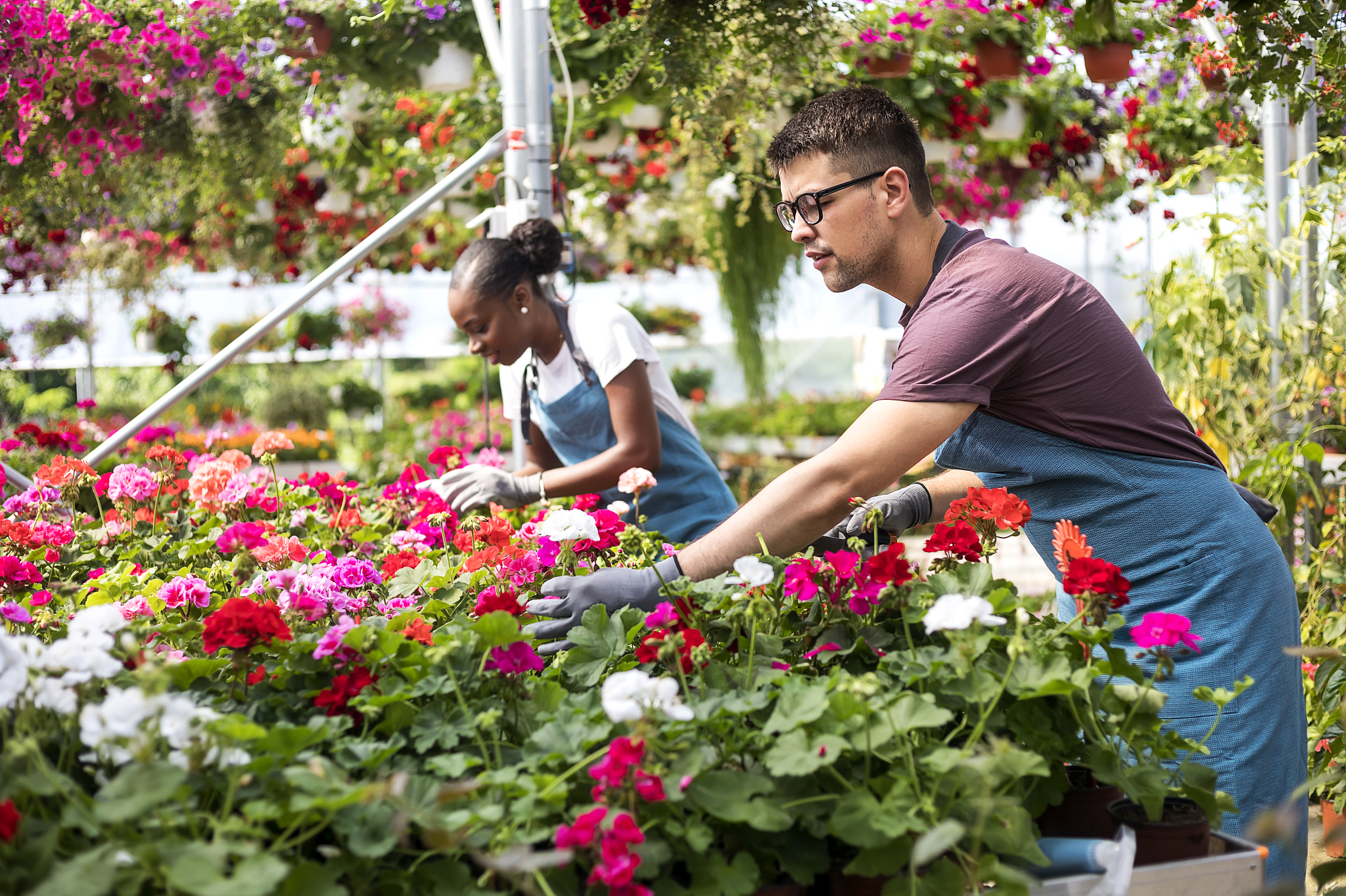 阜阳职业技术学院园艺技术专业怎么样