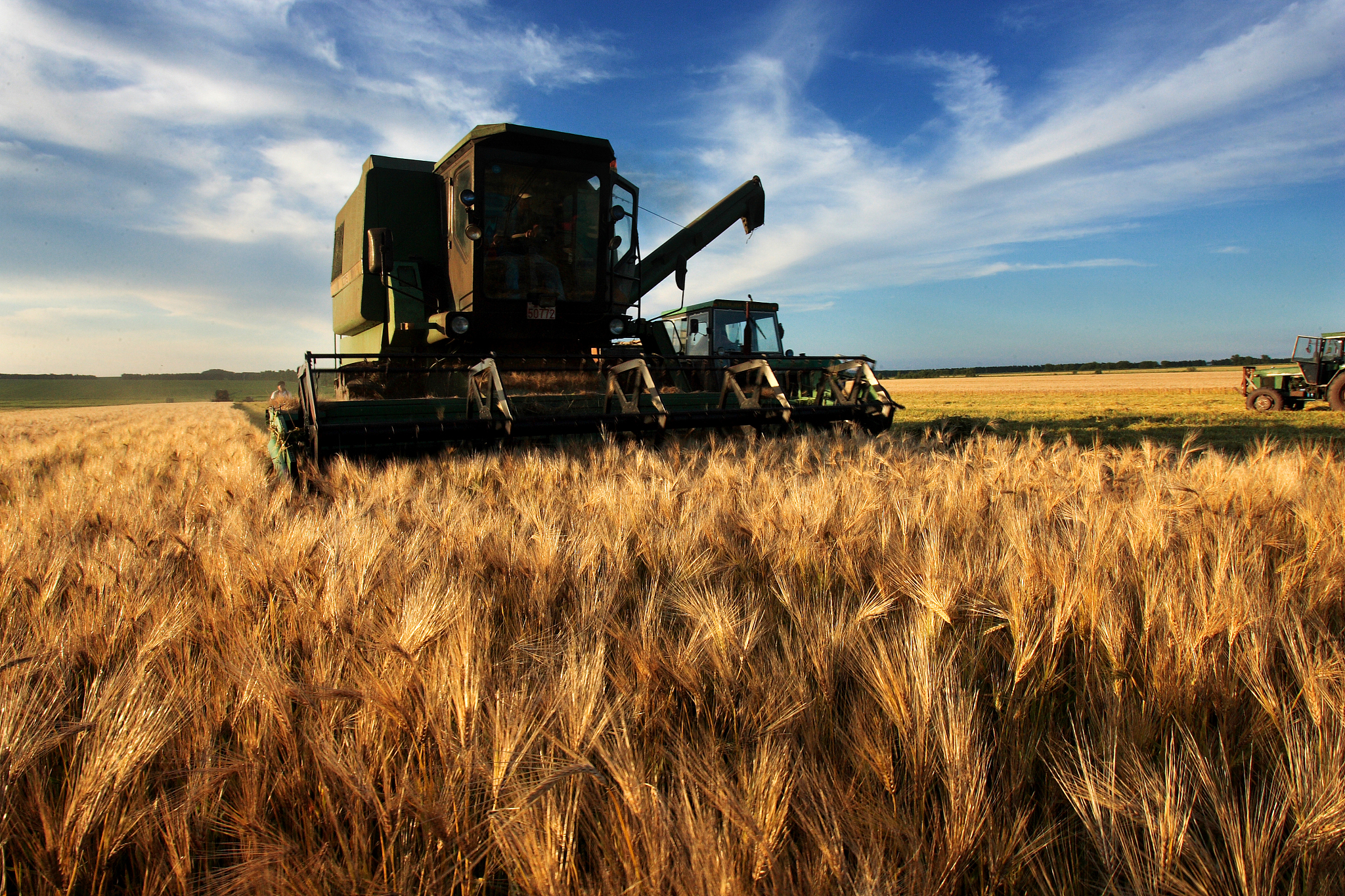 。请结合当地实际情况开展一线调研反映种粮户对地力保护补贴、生产者补贴、农资价格补贴、农机购置补贴、完全成本保险等主要粮食生产支持政策的评价上报一篇综合信息并提出进一步优化政策的期盼诉求。调研报告要求一千字