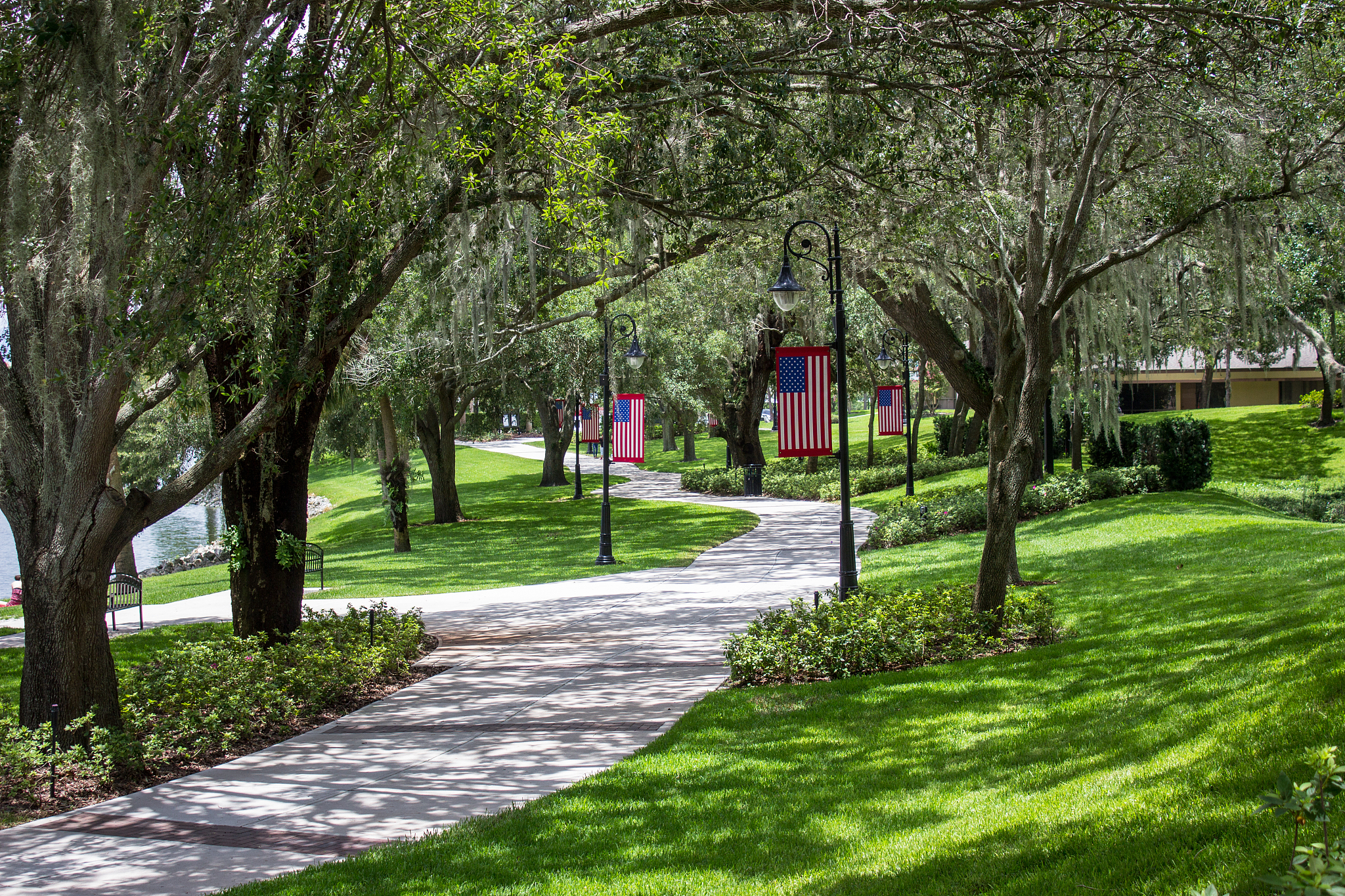 公园漫步：探索自然之美，享受生活乐趣