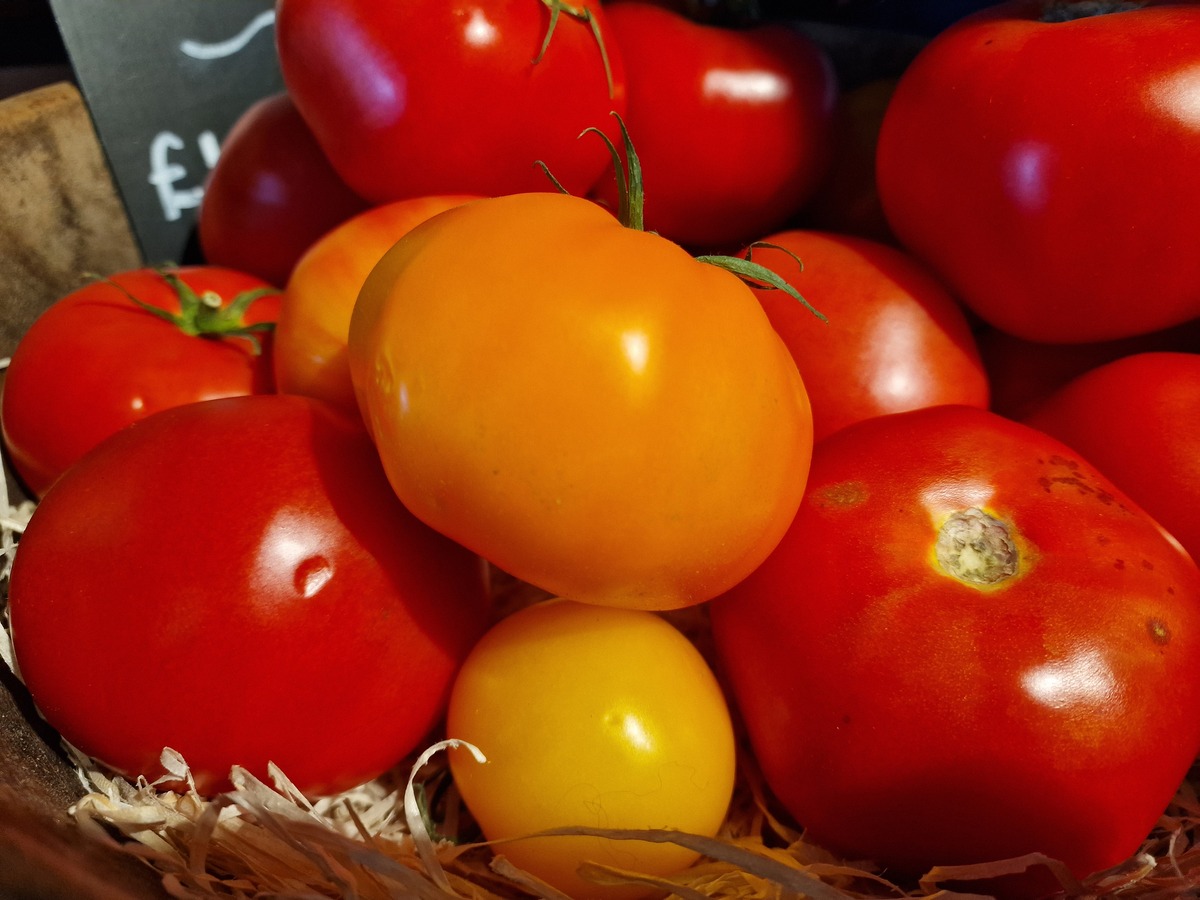 西红柿：营养丰富，美味健康