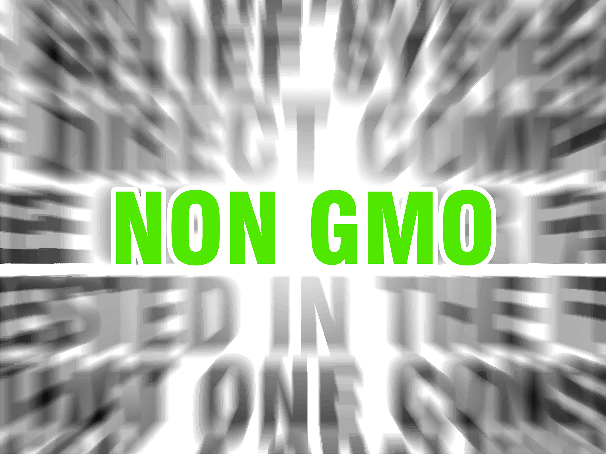 NON 前缀词语大全：包含哪些单词？