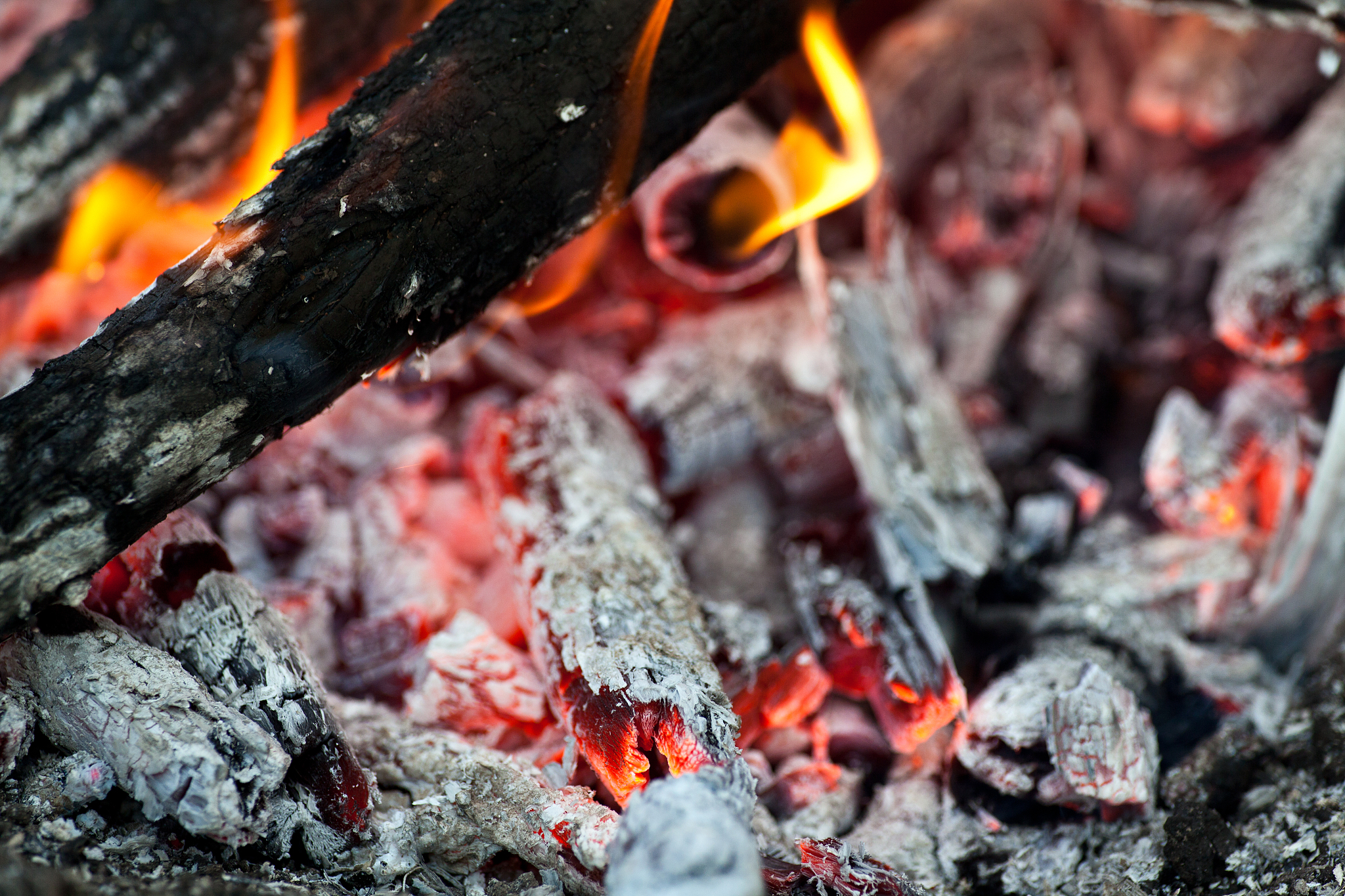 在很多燃烧现象中燃烧速度是由物质的扩散什么决定的