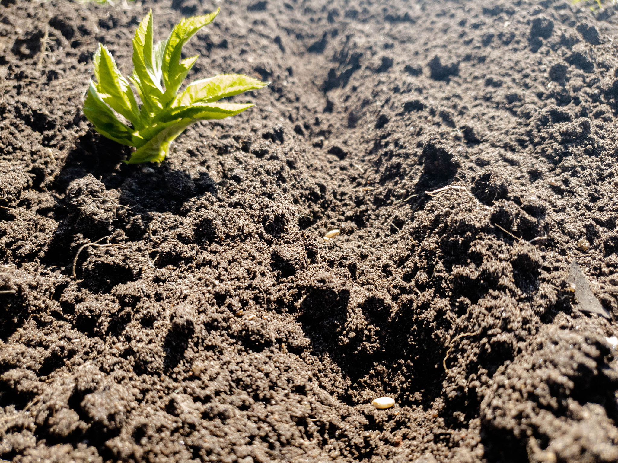 Soil Research期刊的推荐理由