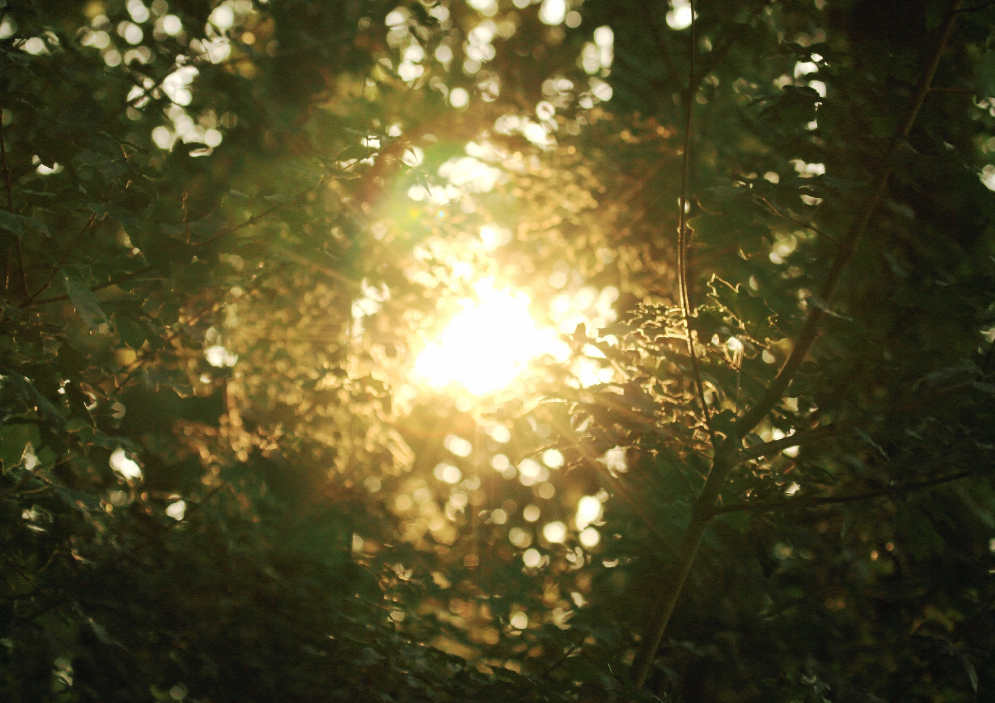 《阳光的两种用法》是哪两种用法
