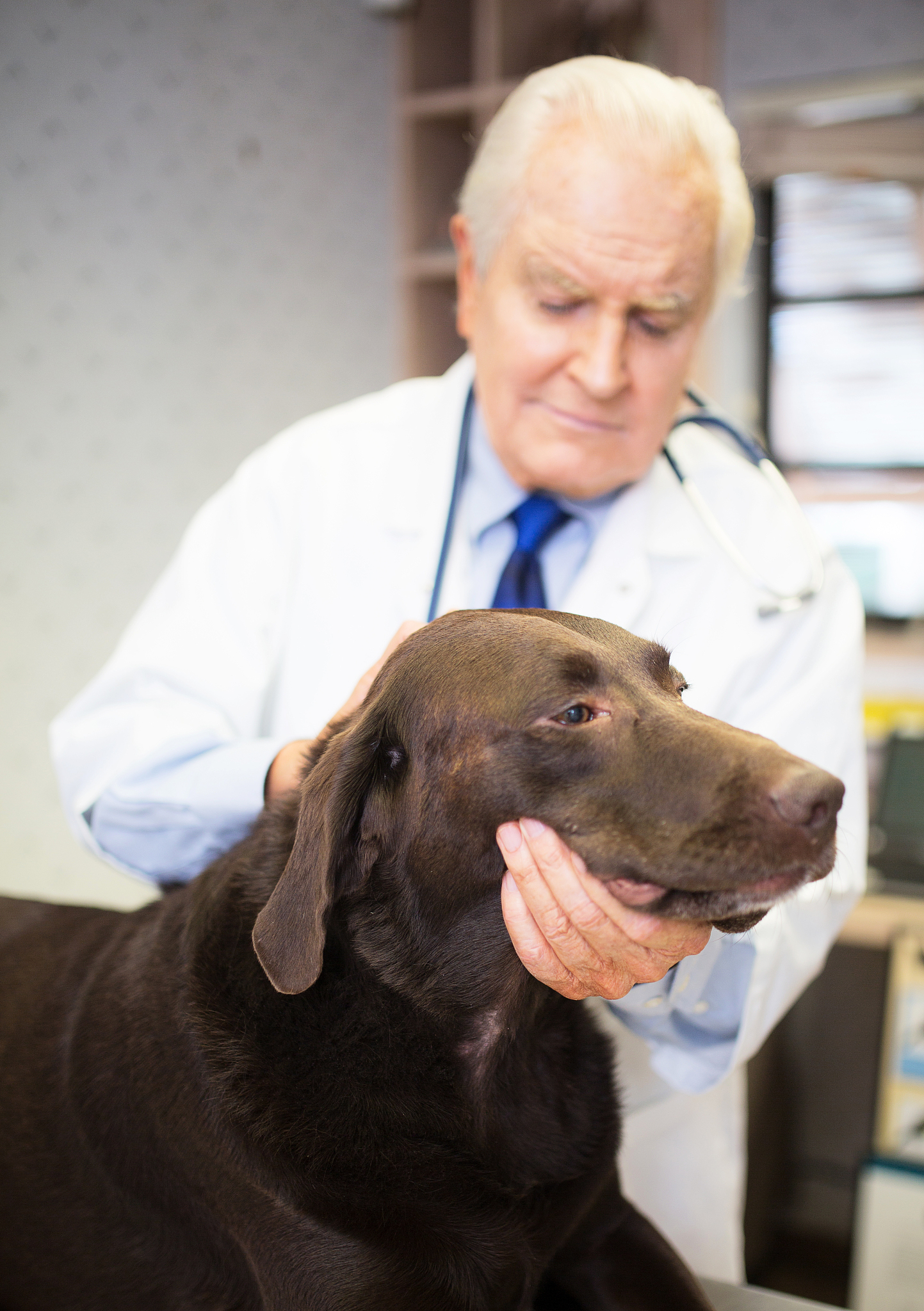 贵州农业职业学院宠物临床诊疗技术专业就业前景分析：医疗、保健、心理多领域发展