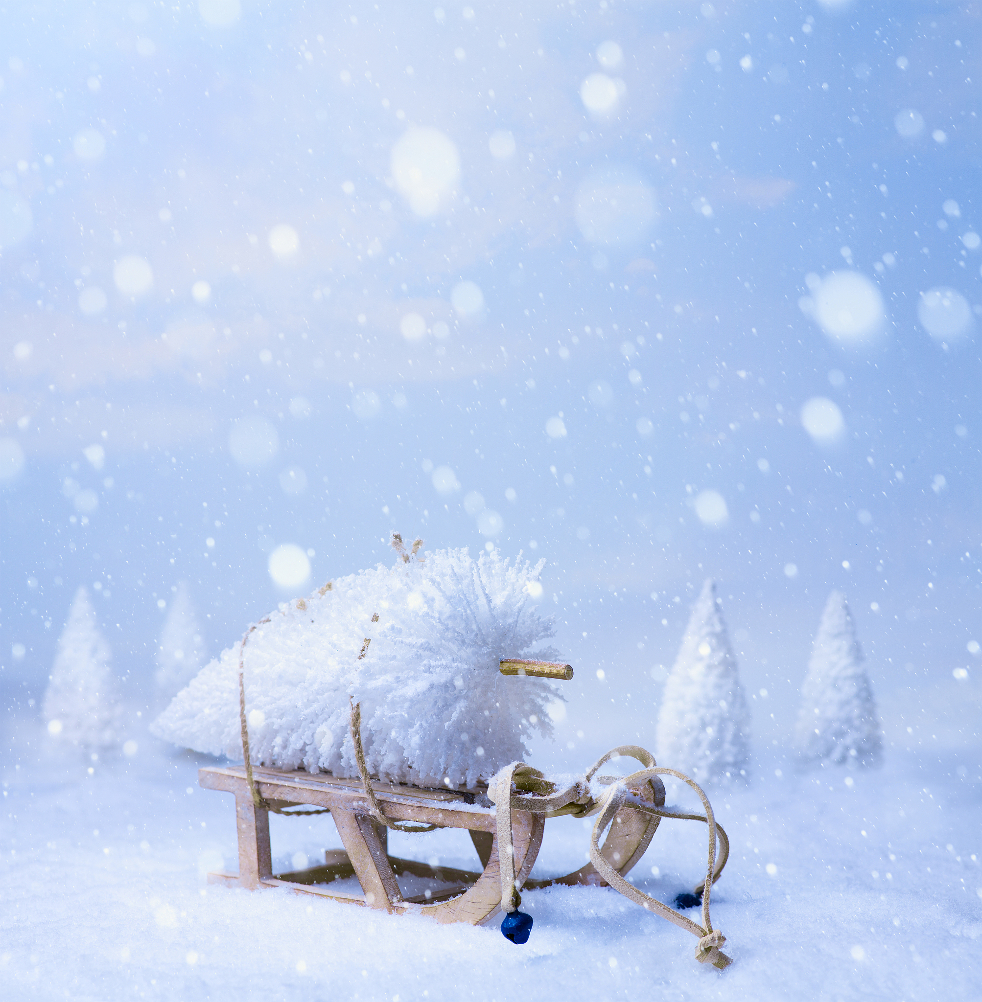 雪花精灵的冬日狂欢：拟人句描绘冬雪之美