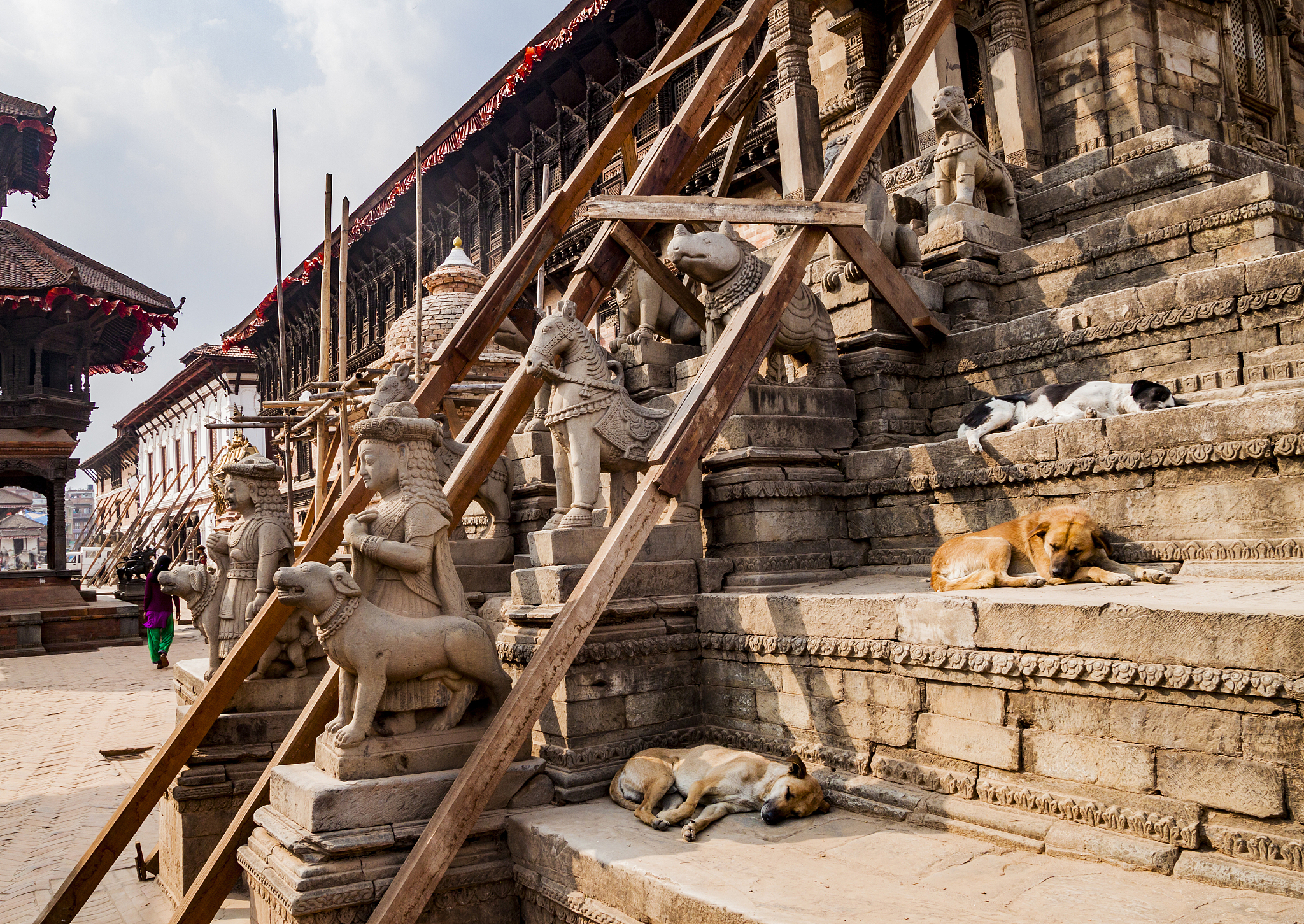 dogs sleep on the temple steps near dog statue durbar square, a 