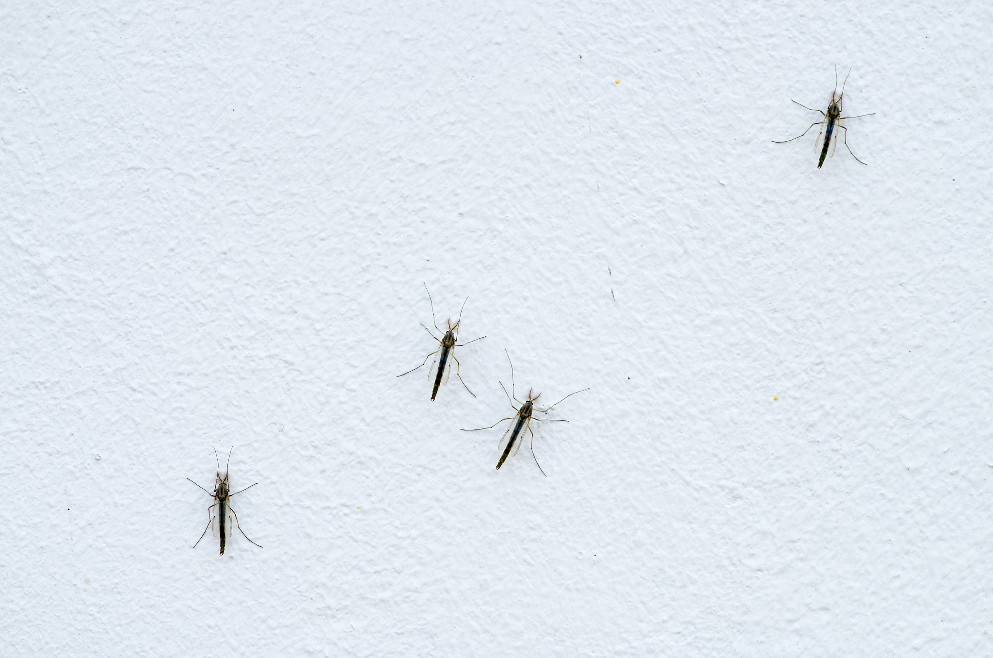 余杭卫生中等专业学校2021年报名需要满足哪些条件