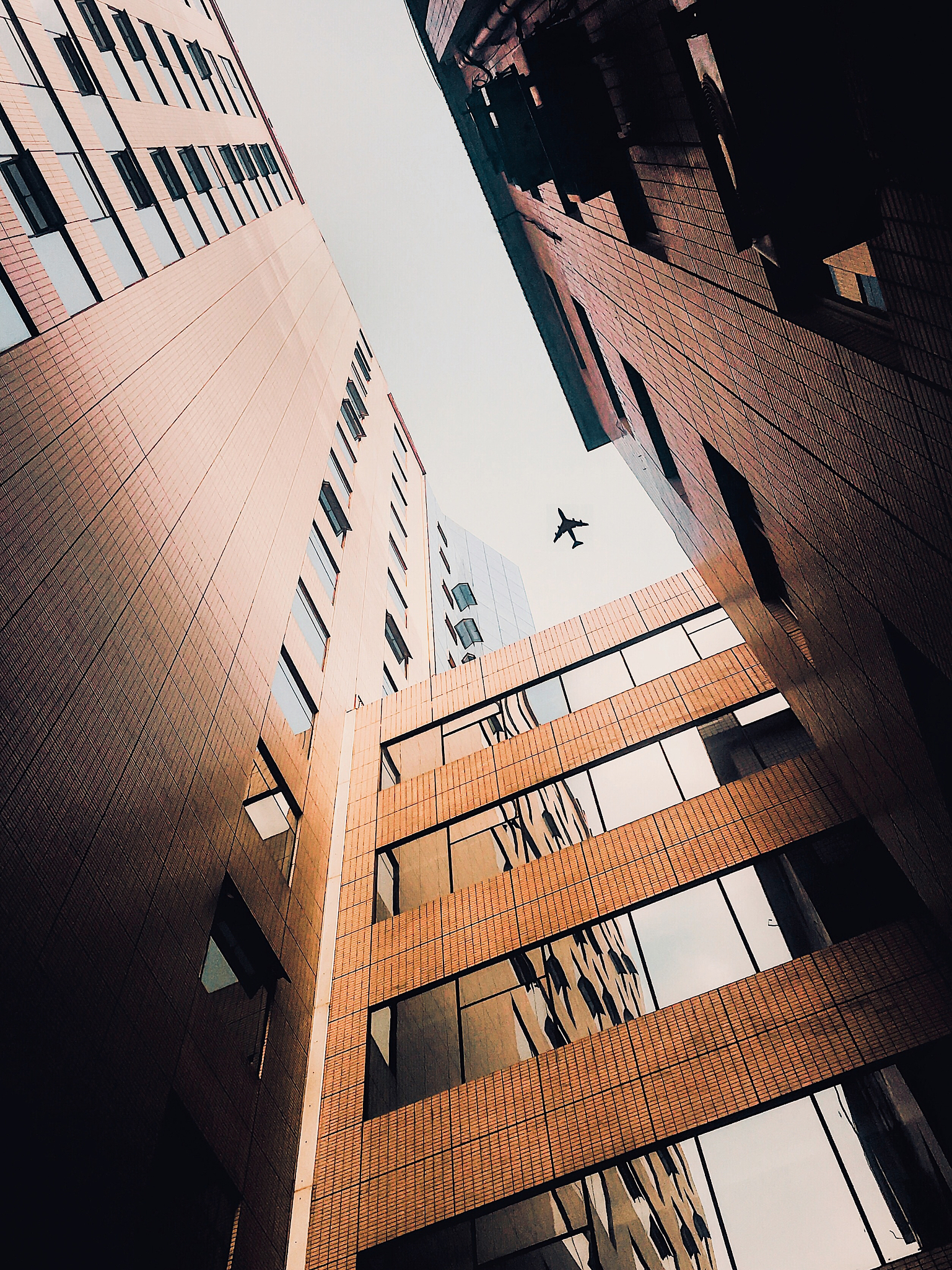 成都口腔医学院校排名：哪所学校最适合你？