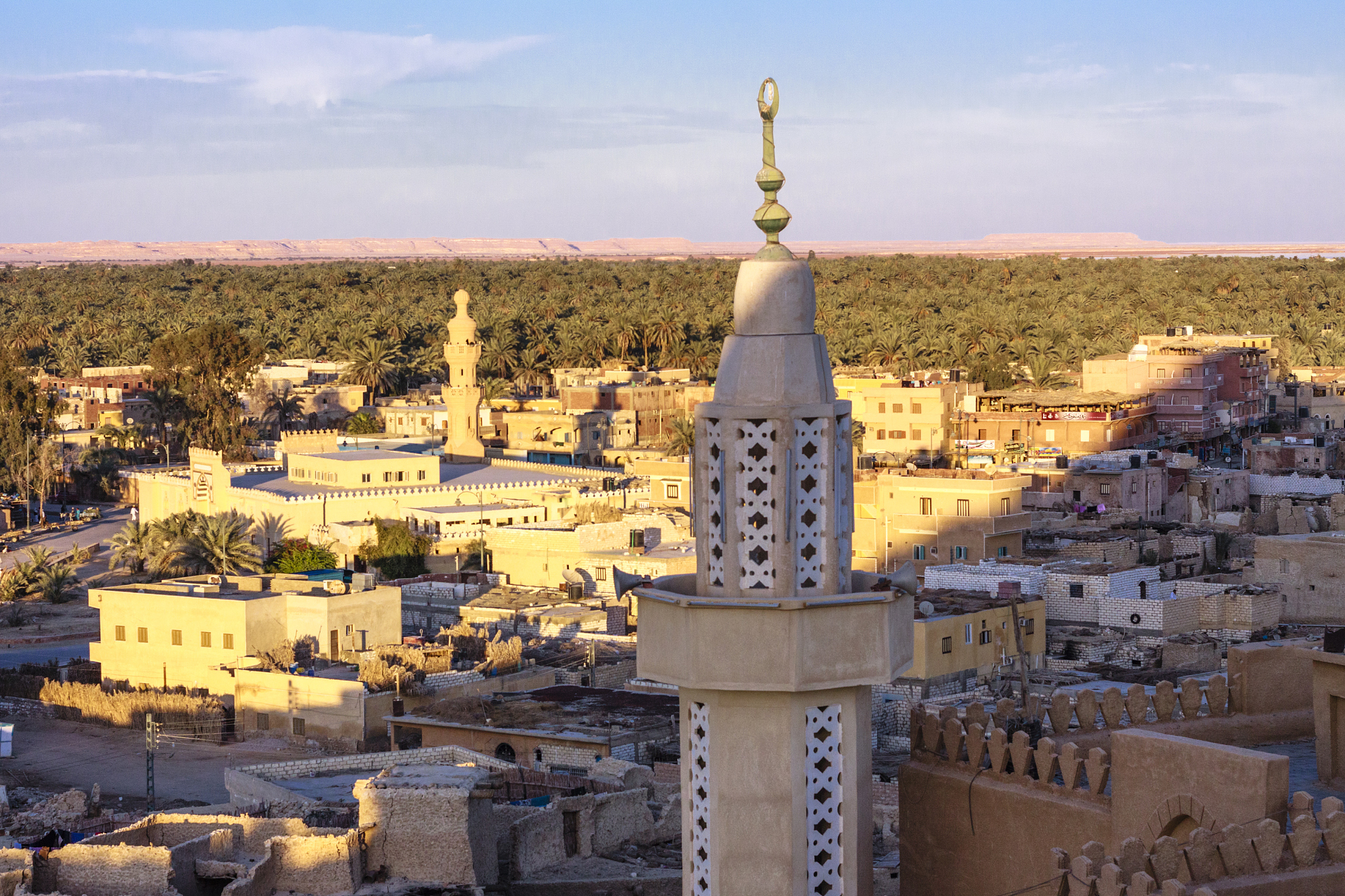 siwa oasis overview with minarets in foreground