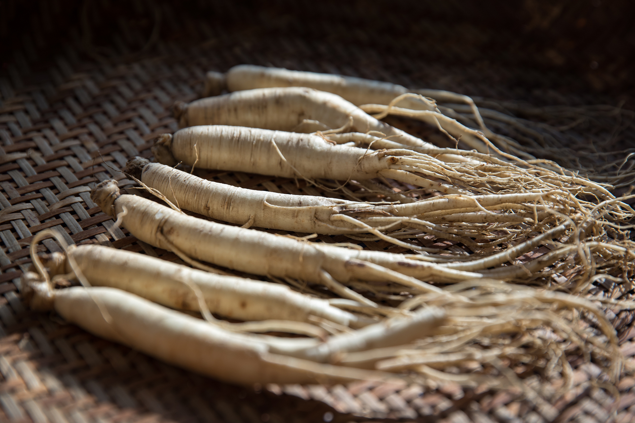 ginseng
