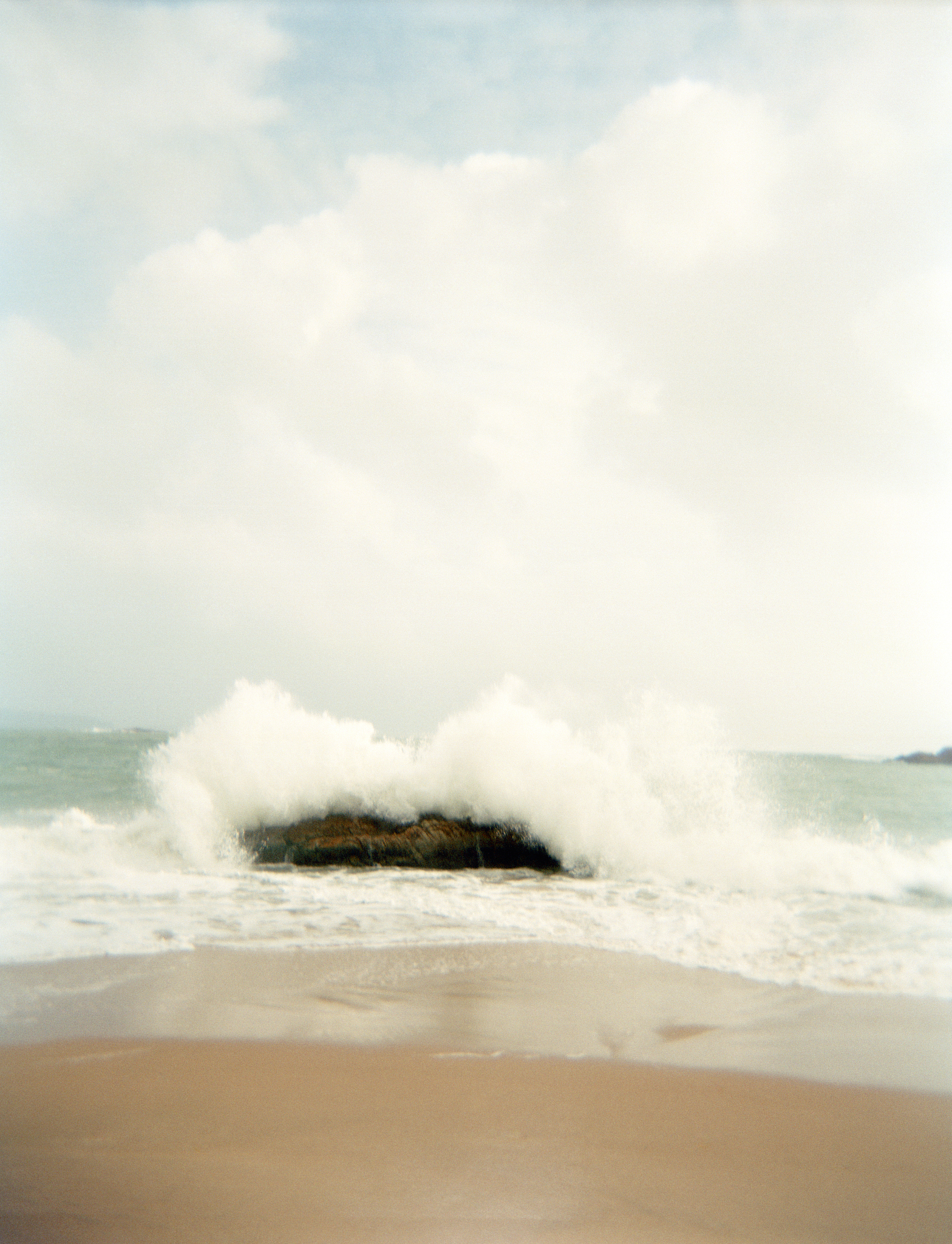风的魅力：温柔与狂暴的化身