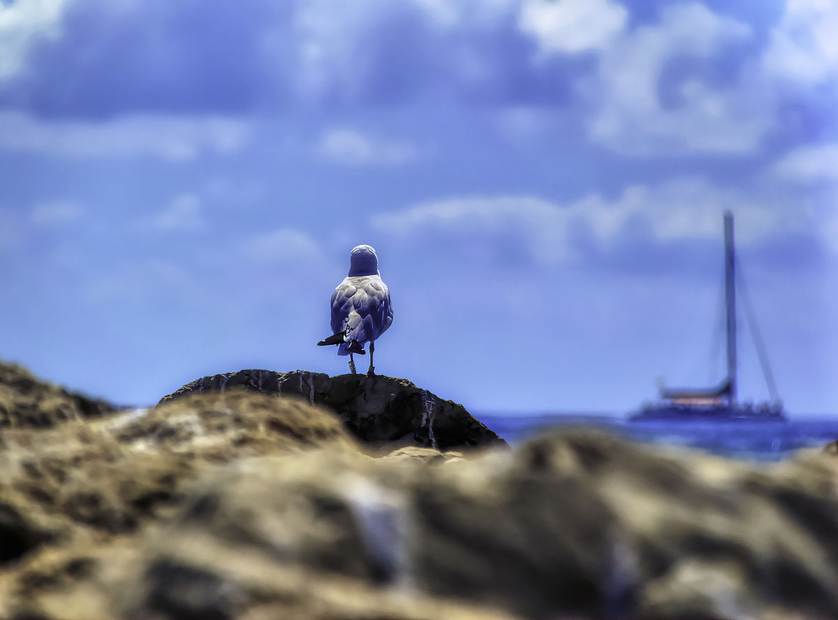 旅行的魔力：打开生命无限可能的宝盒