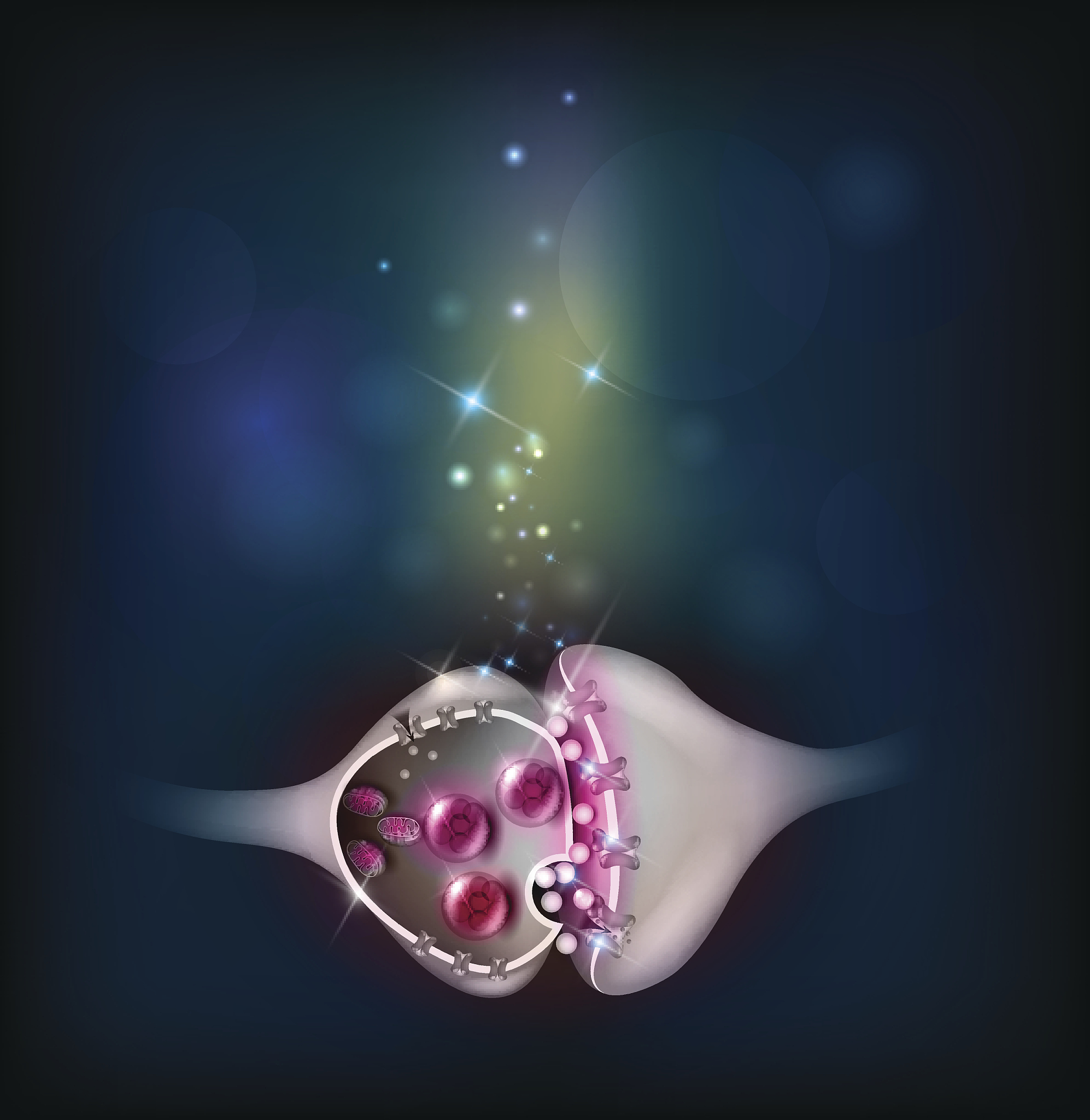 神经元突触局部翻译：哪些RNA参与神经功能？