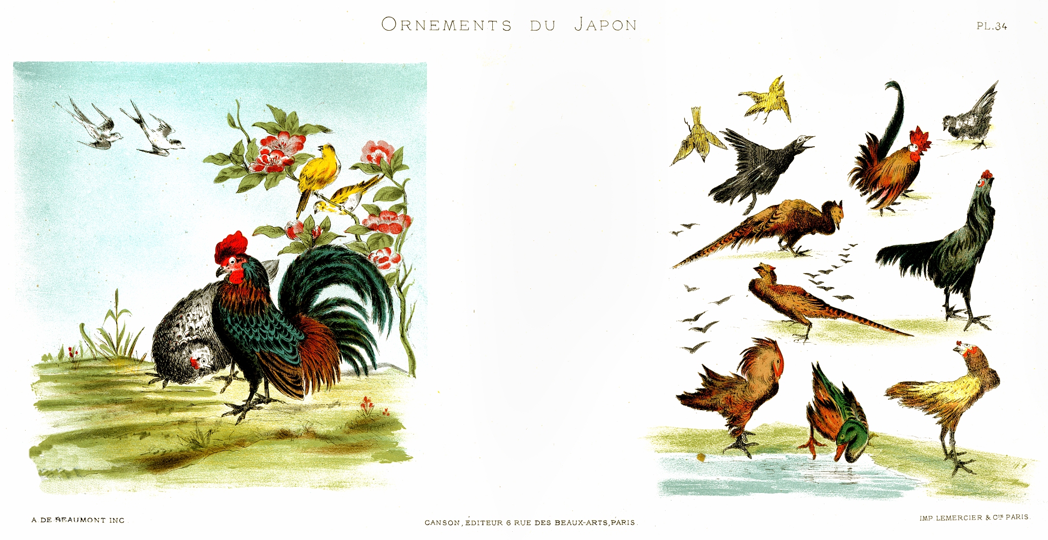 少年雄鸡是不是科学环球的故事用230字帮我详细描述