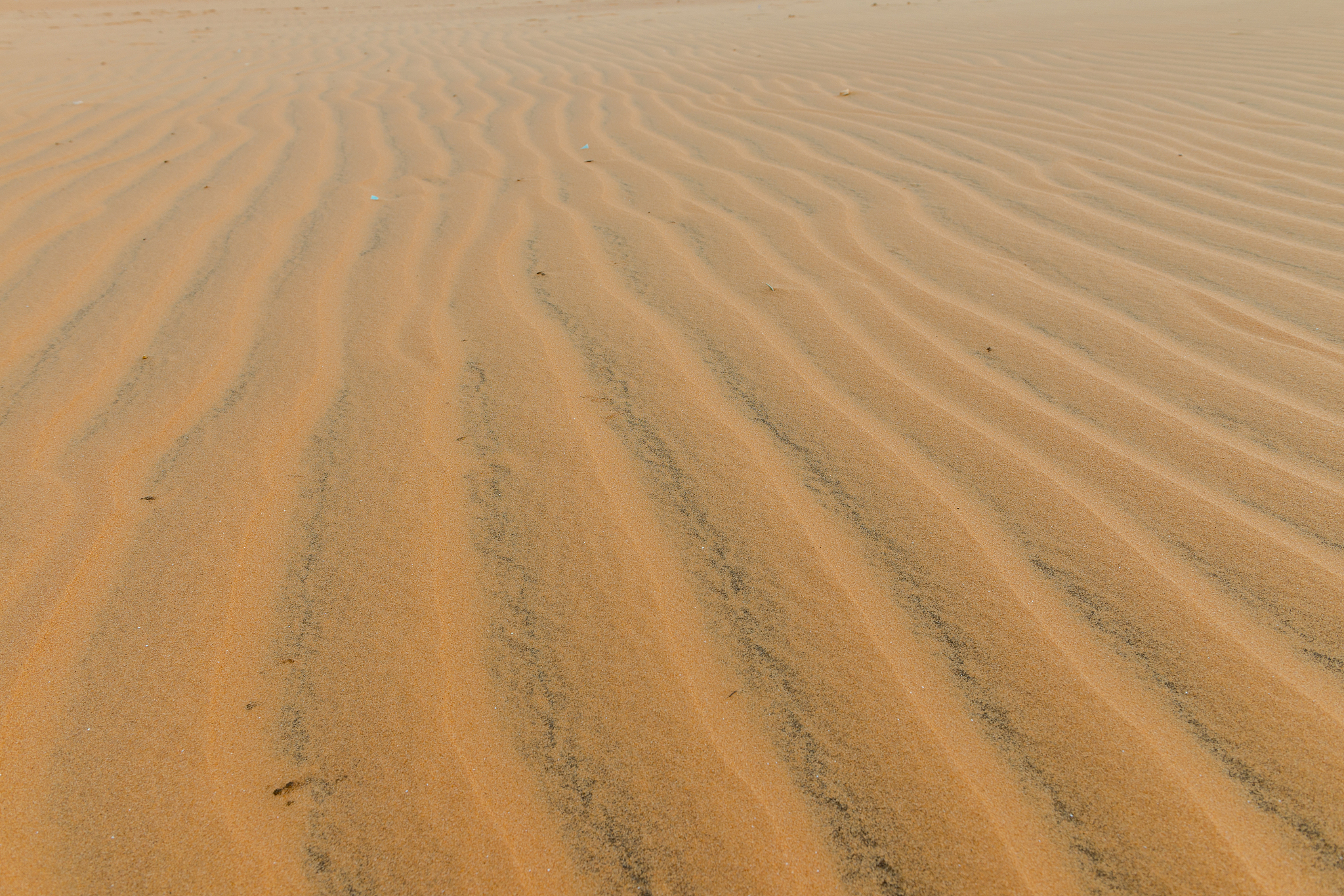 sand dunes, mui ne south vietnam dec 2016