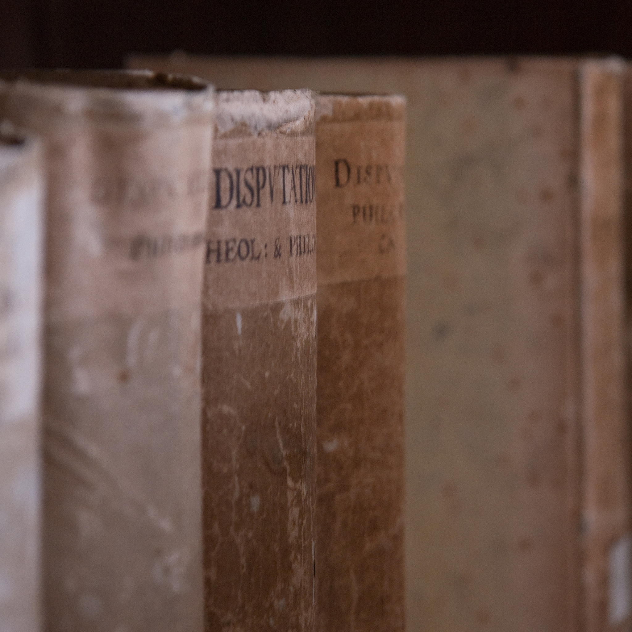 有关全球性问题：强势文化入侵对各民族本土文化的影响 的摄影集有哪些要著名的中文图书