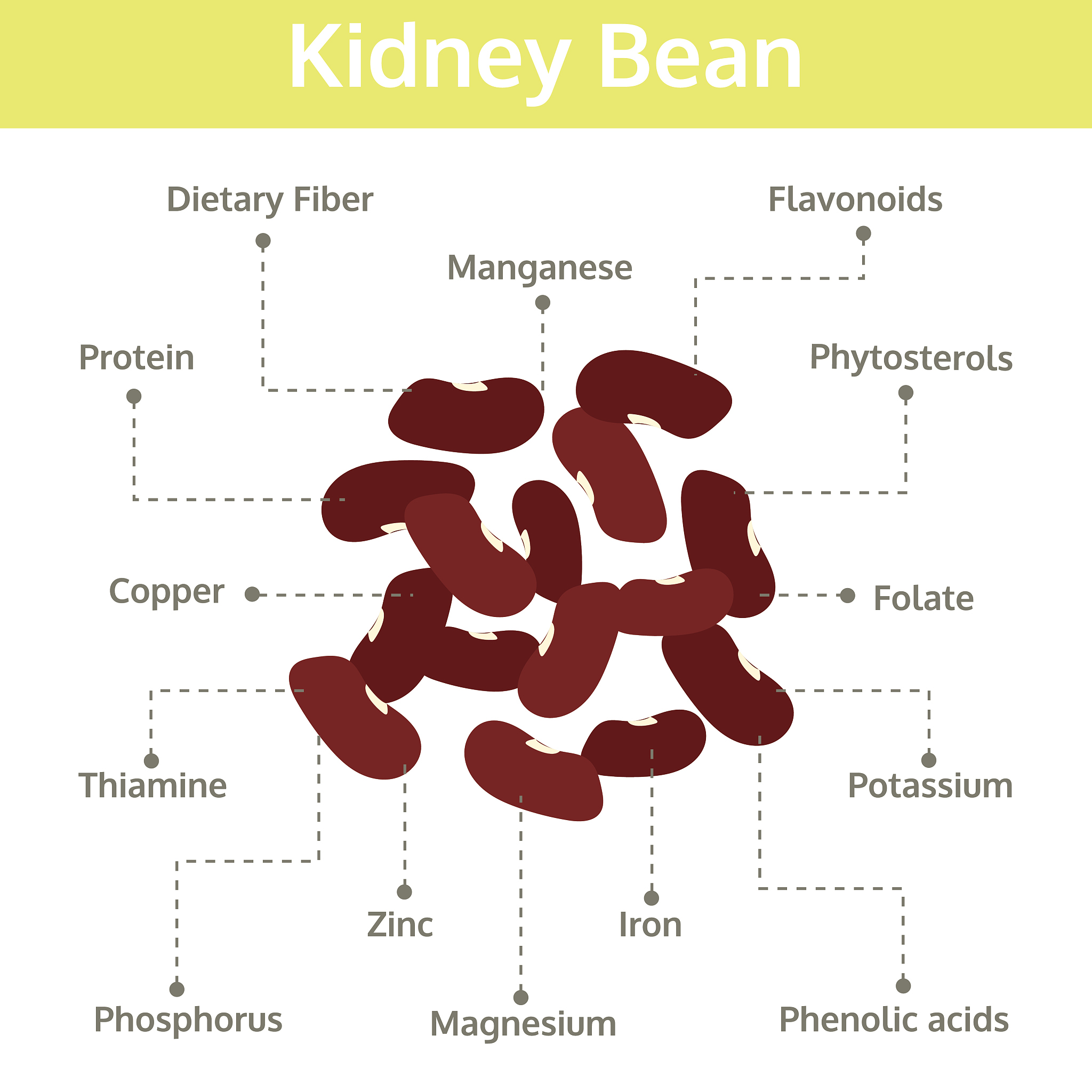 国际镁营养研究所研究生培养：优势、资源和未来发展
