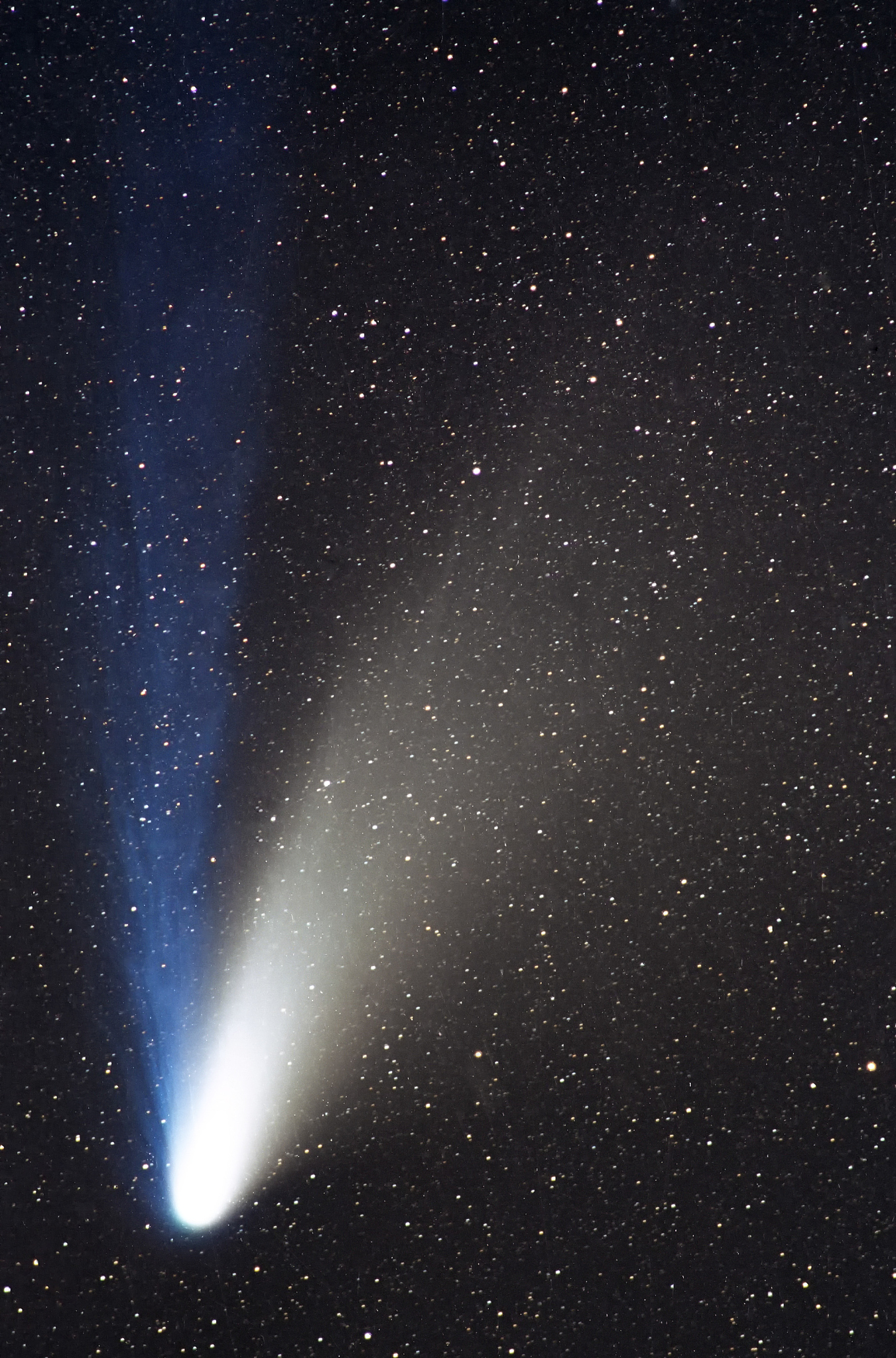 <strong>彗星</strong>,垂直画幅,天空,星系,夜晚,莱蒙山,科学,动物身体部位,星云