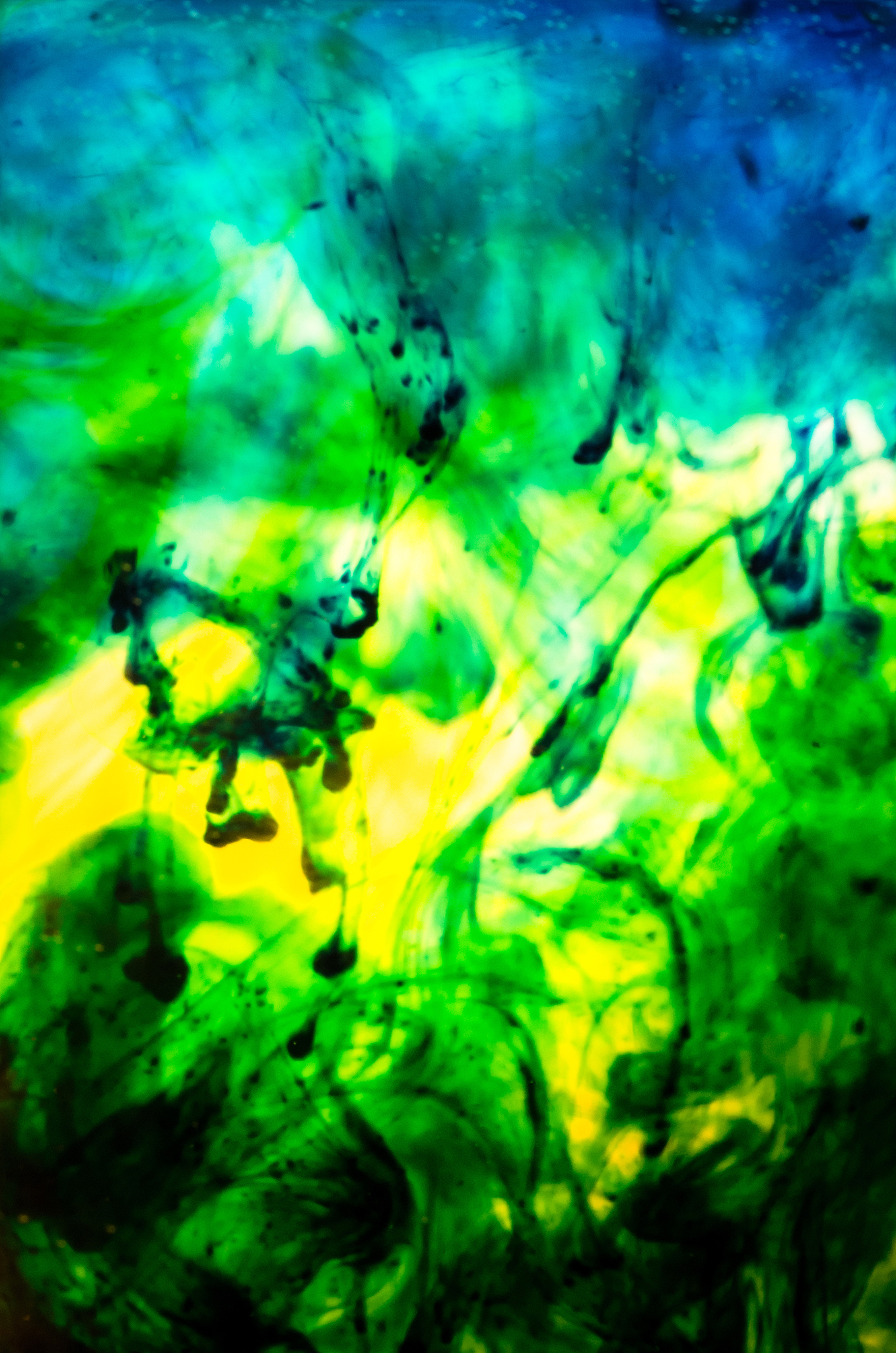 abstract paint splash