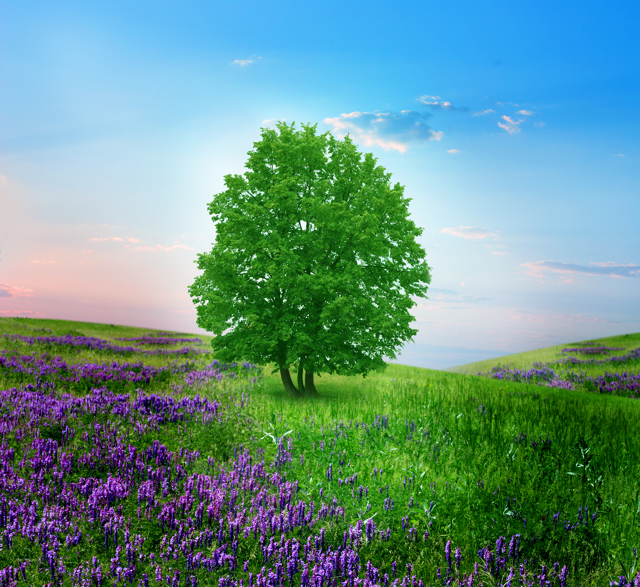 写一首描述夏天的诗