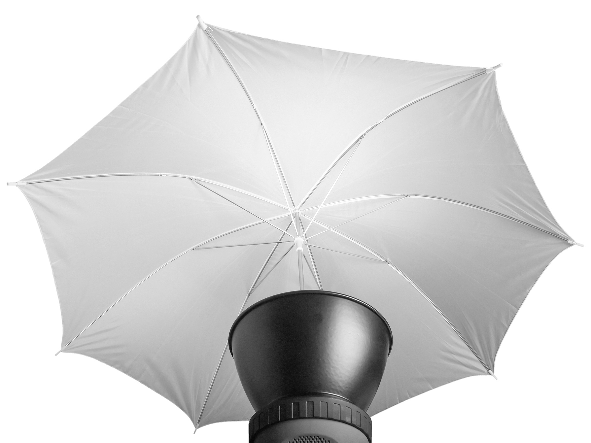 light umbrella