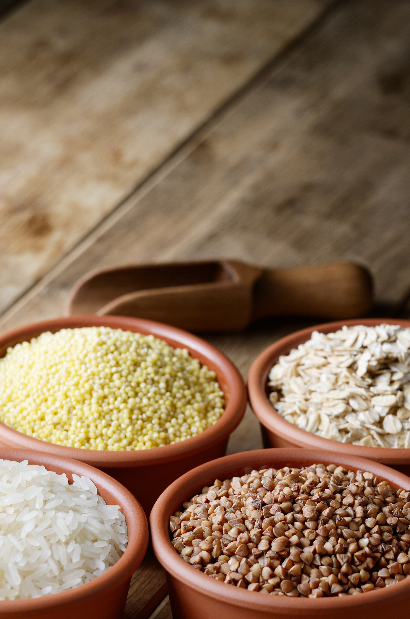 cereal grains