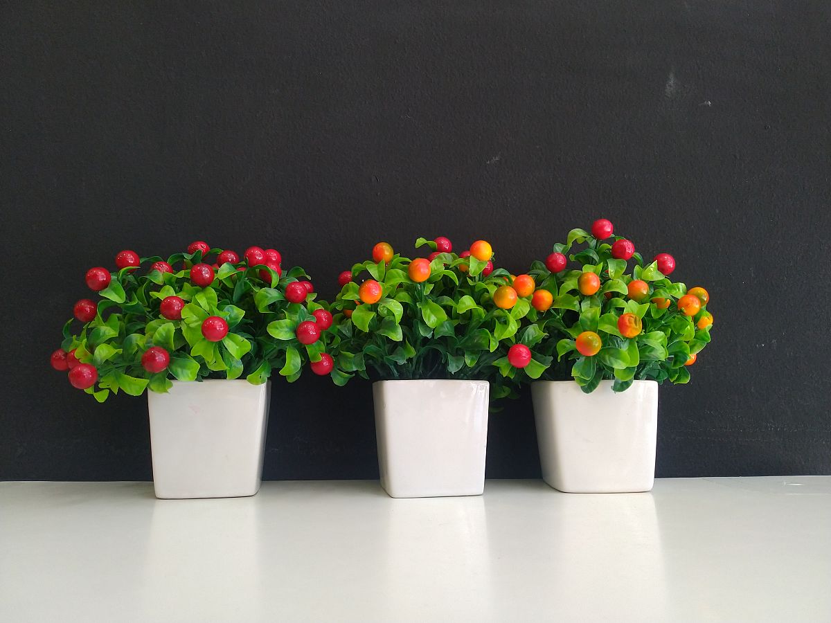 信阳师范学院汉语言文学专业如何