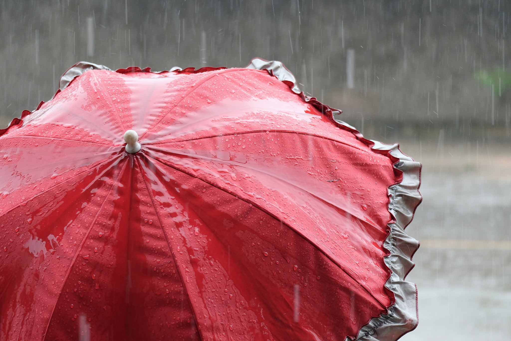 red umbrella in the rain