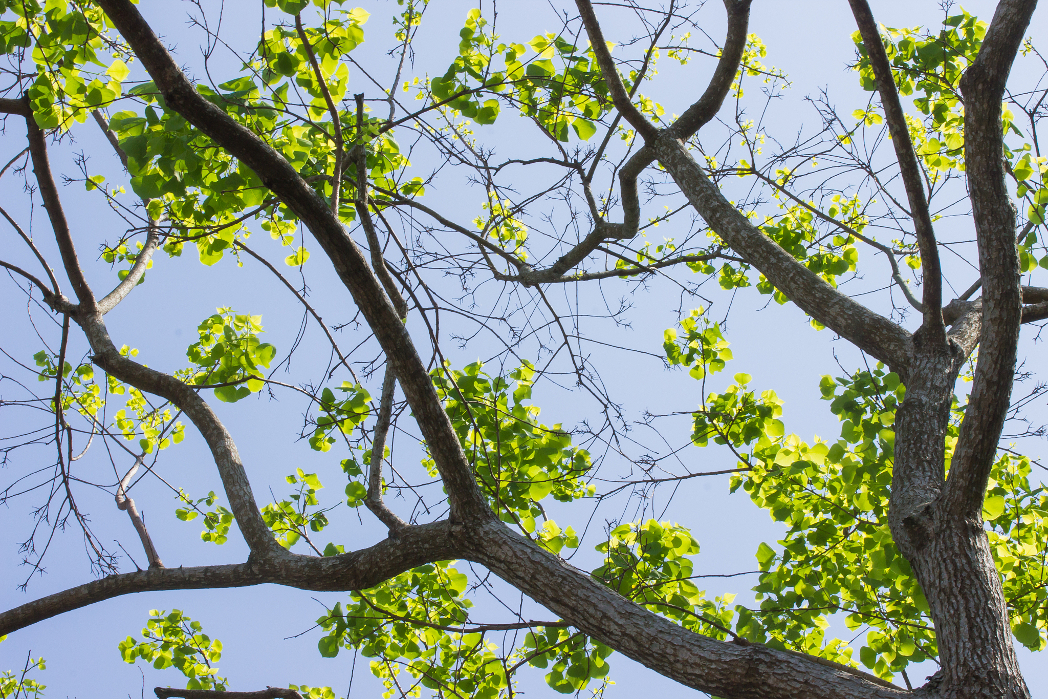 帮我写一份宿舍管理系统的可行性分析报告